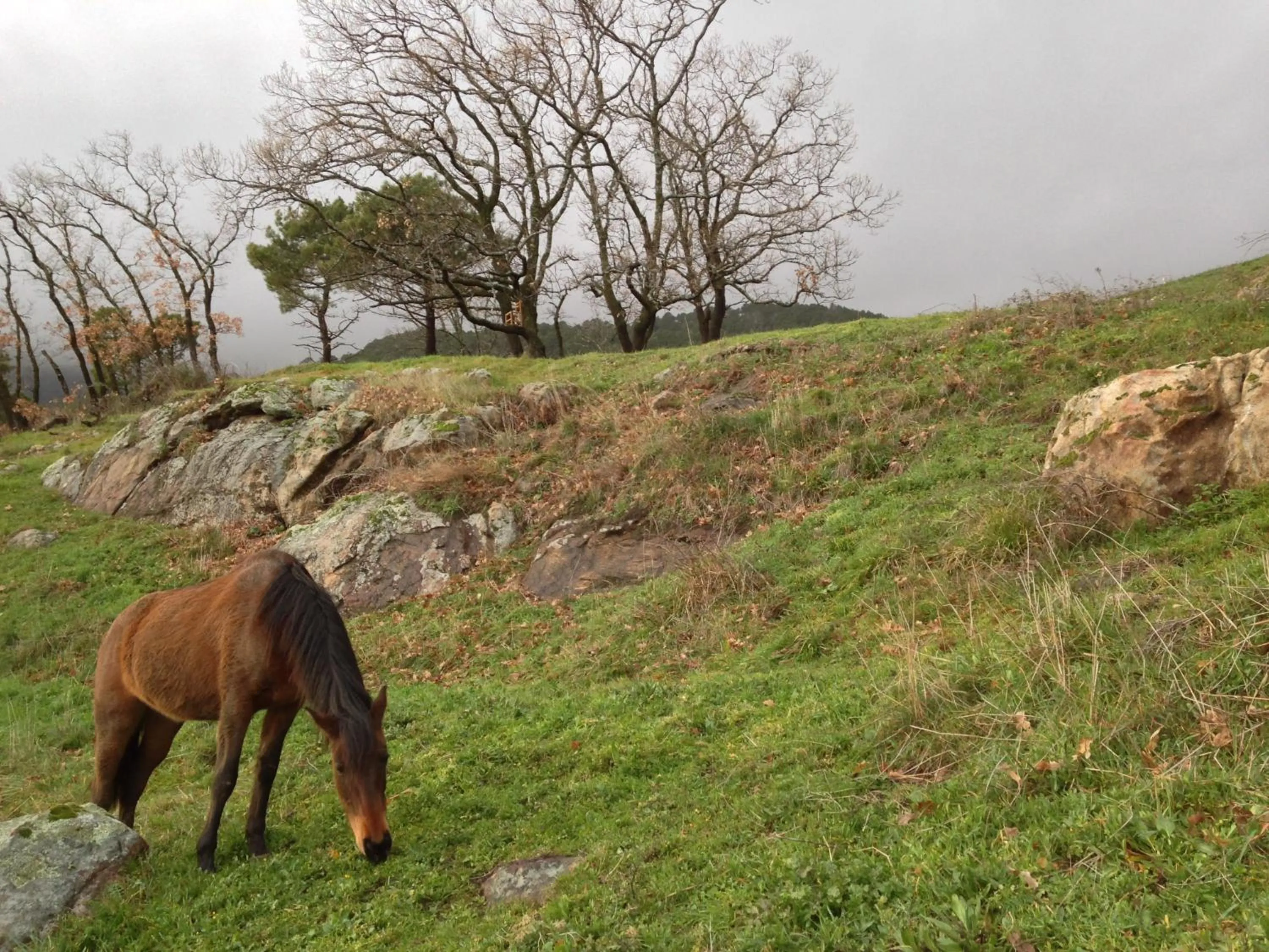 Garden in Hotel La Canela