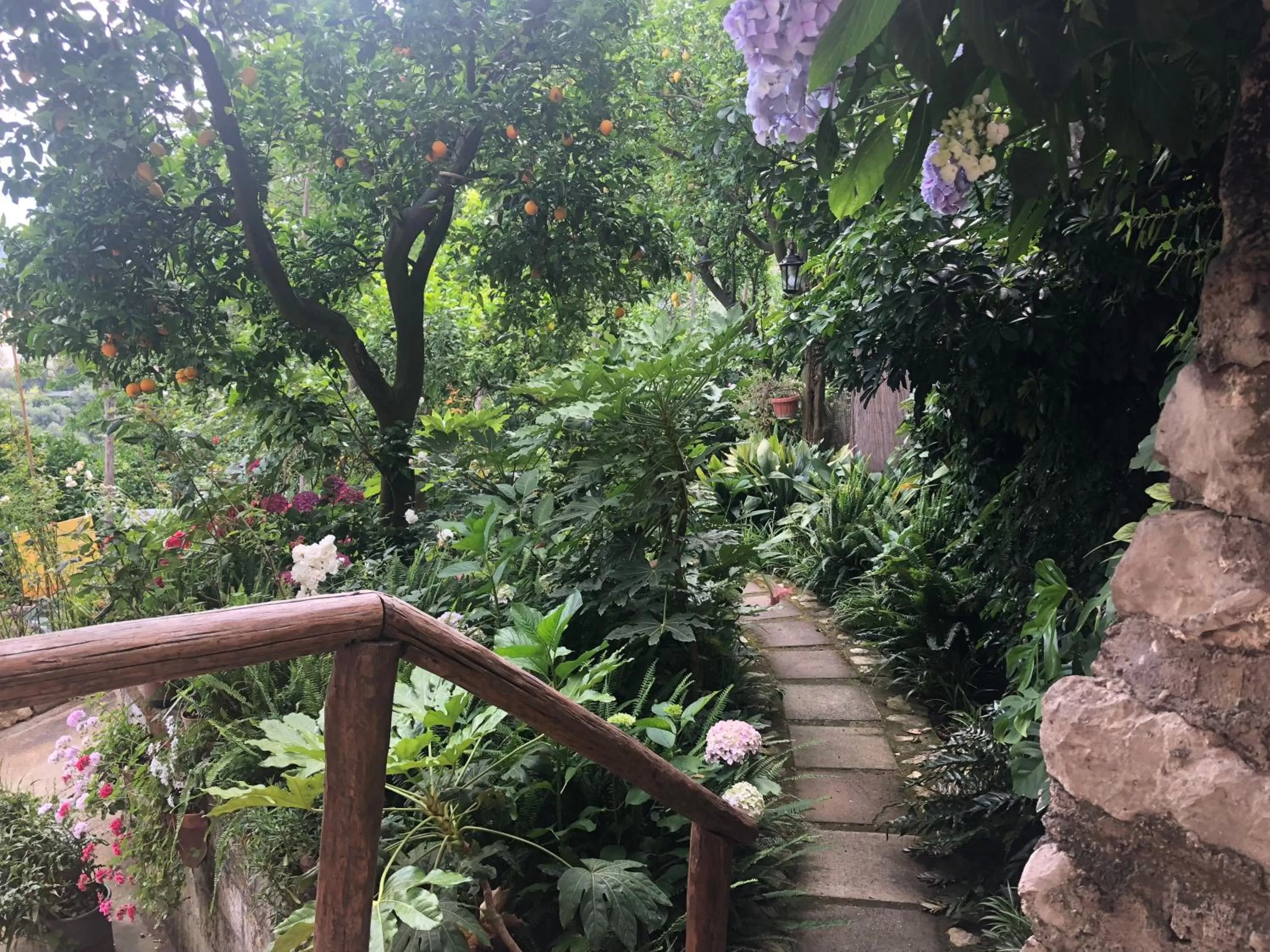 B&b L' Arancio in fiore