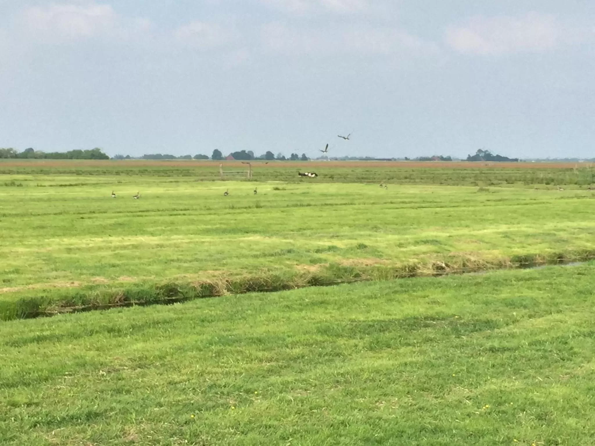 Activities in B&B De Dream