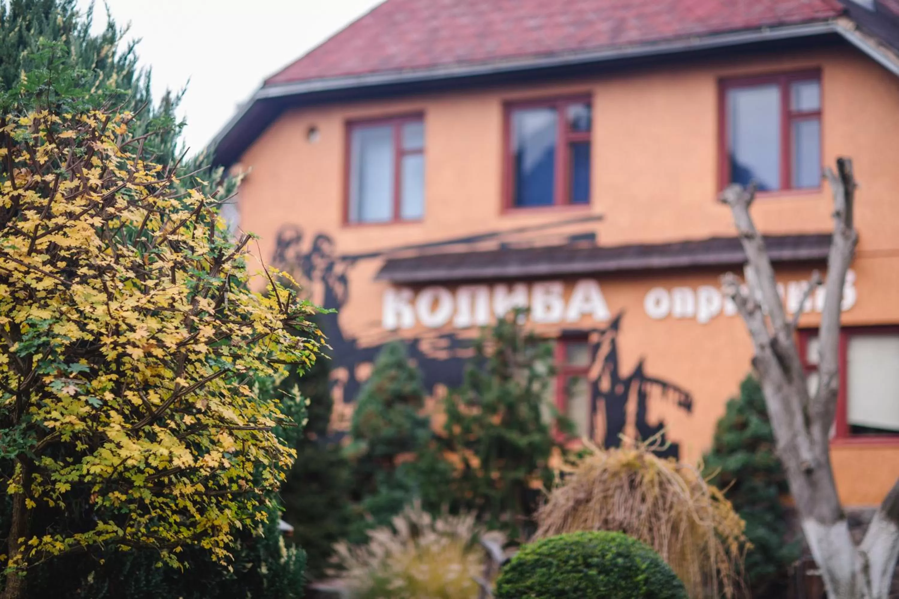 Property Building in Kolyba Opryshkiv