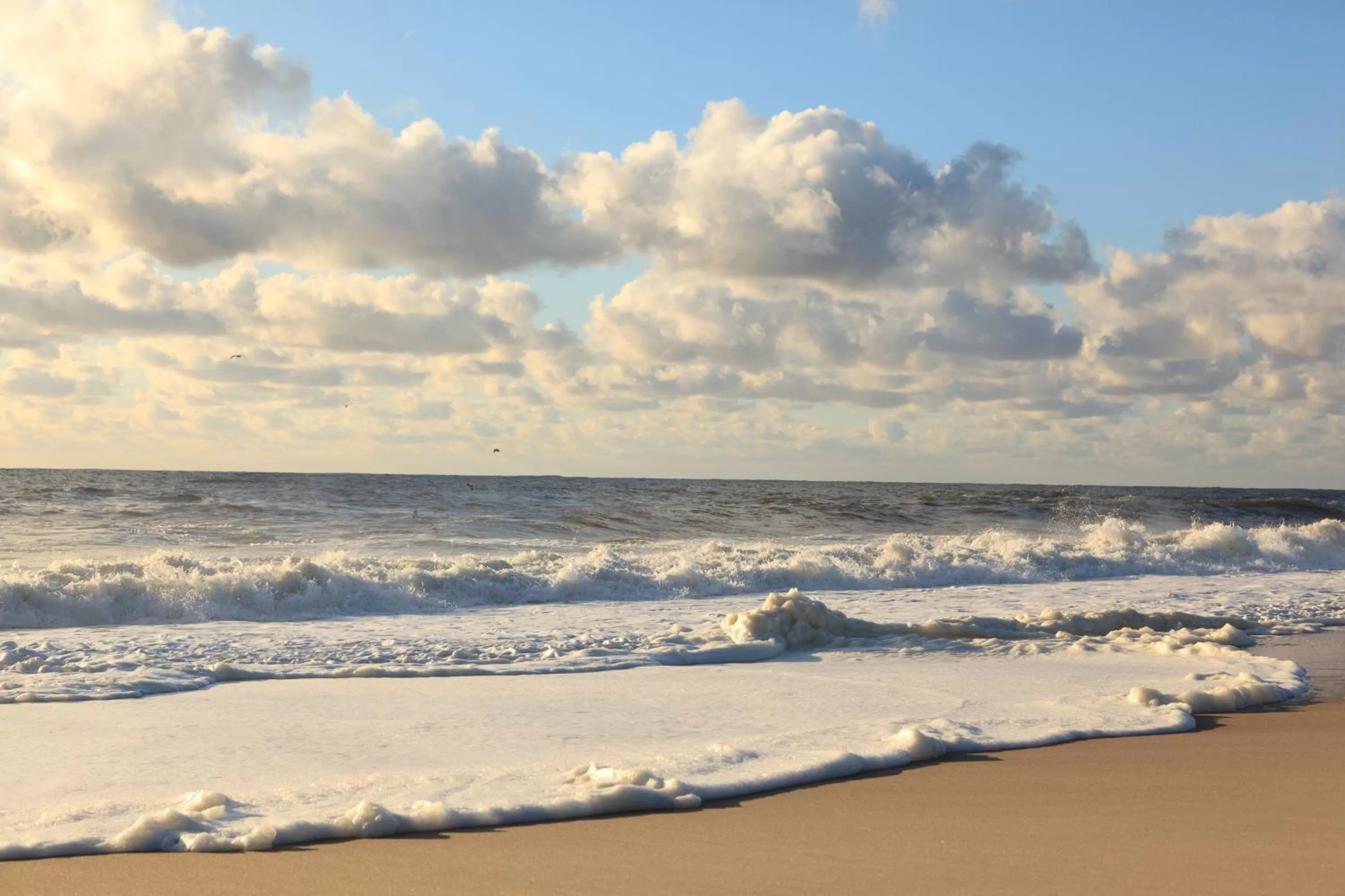 Activities, Beach in The Tower Cottage Bed and Breakfast