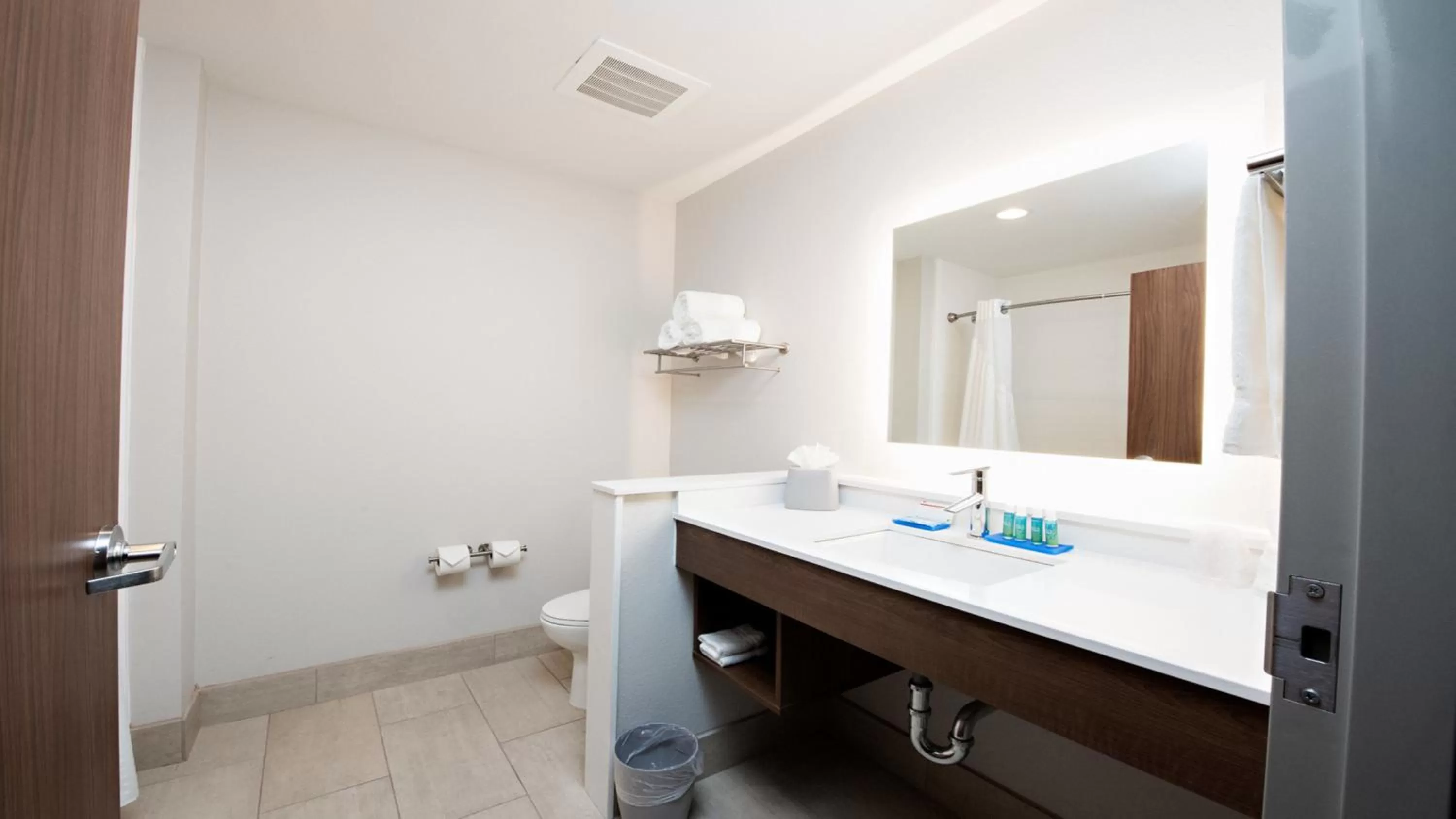 Bathroom in Holiday Inn Express & Suites Houston Southwest Galleria Area by IHG