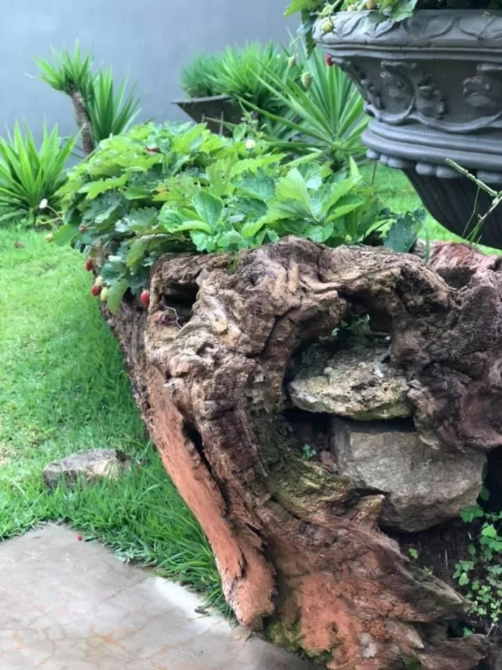 Property building in POUSADA CHARLOTTE