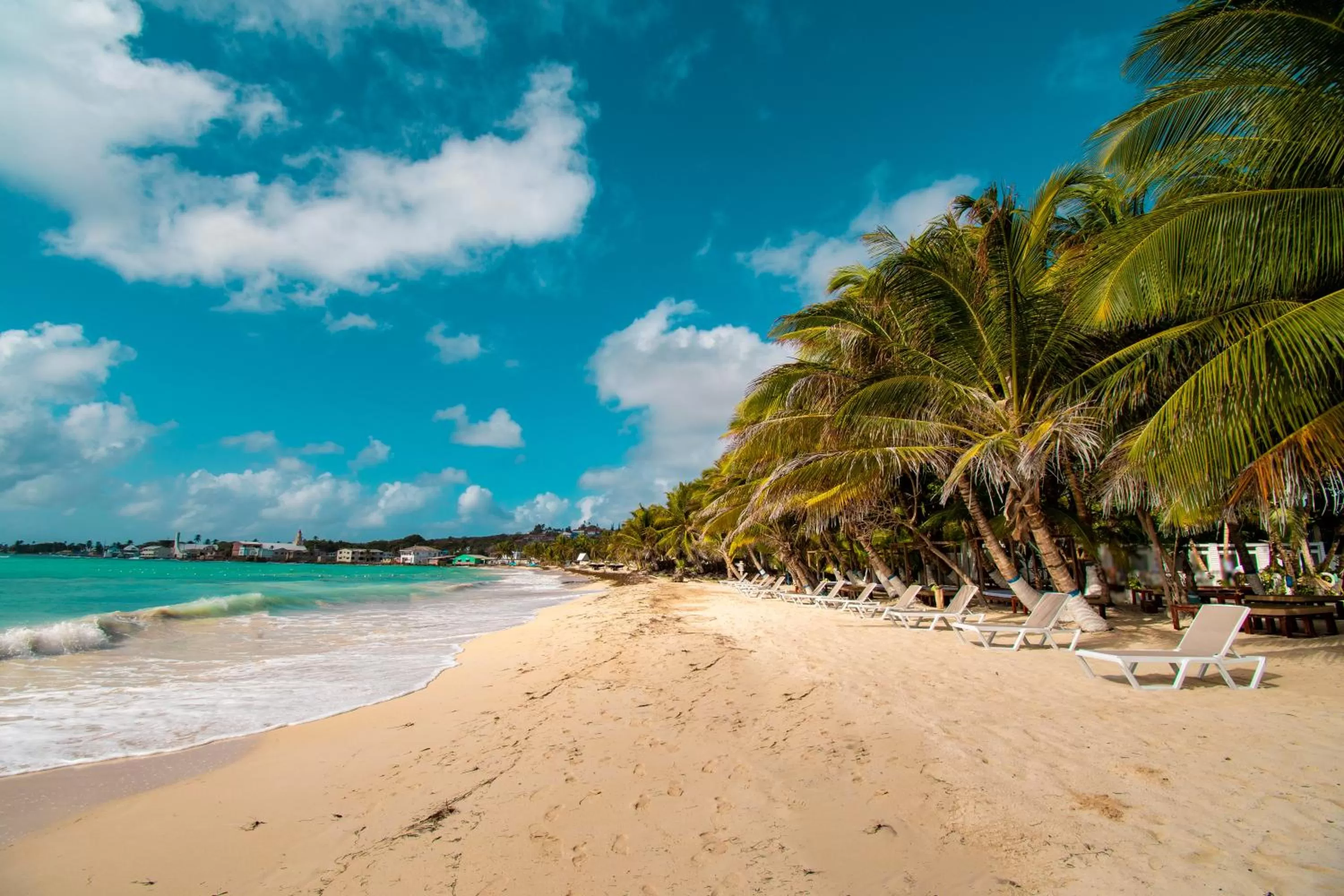 Beach in Hotel Reina del Mar By Dorado