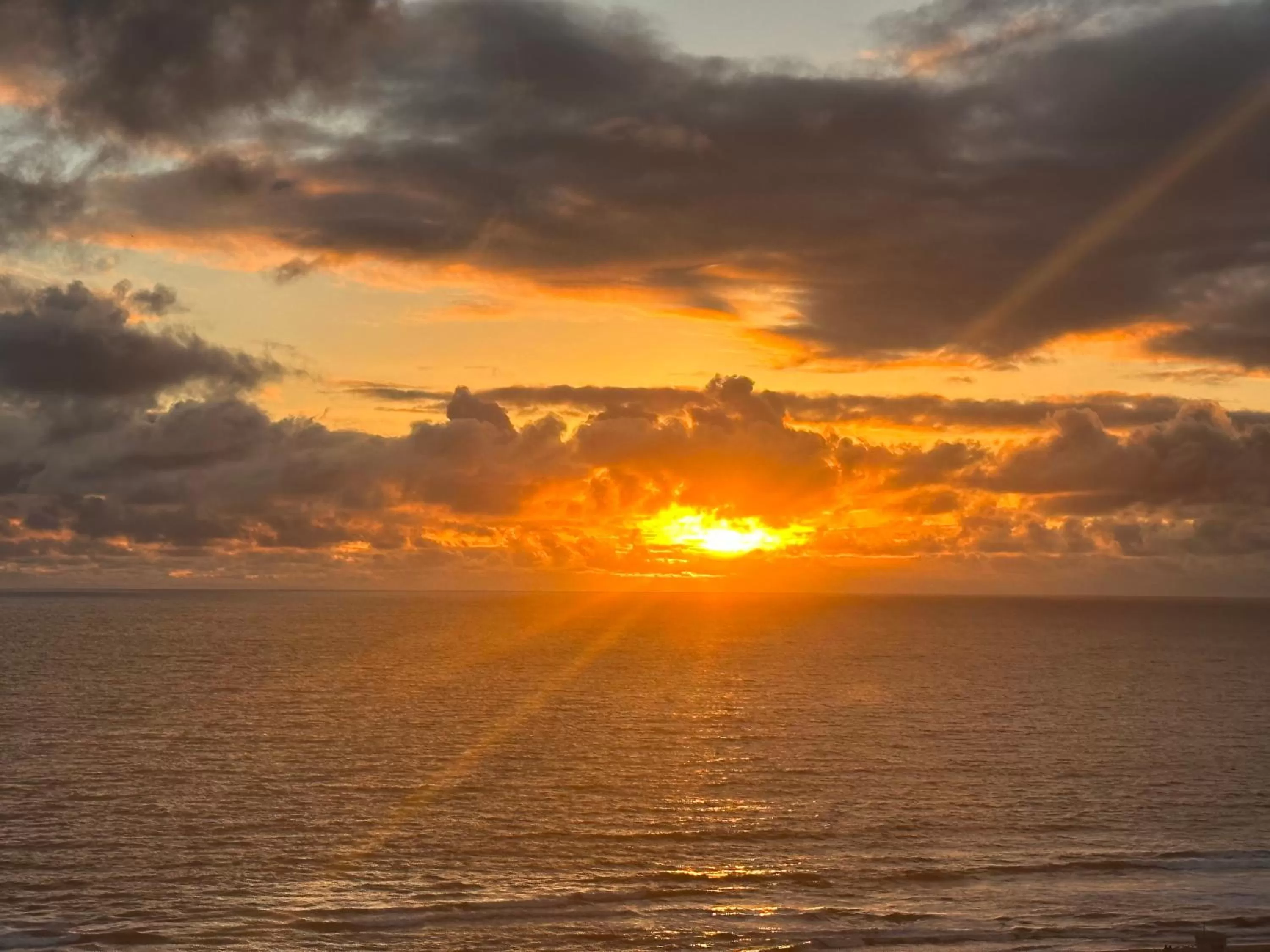 Beach in Ocean Lodge Santa Monica Beach Hotel