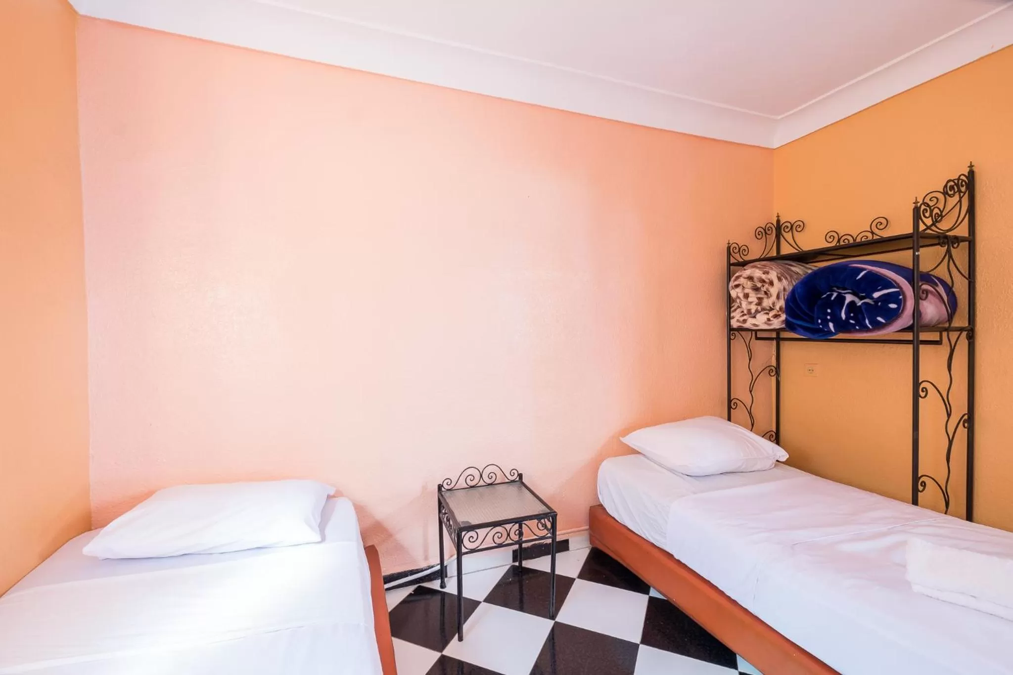 Twin Room with Bathroom in Hotel Central Palace