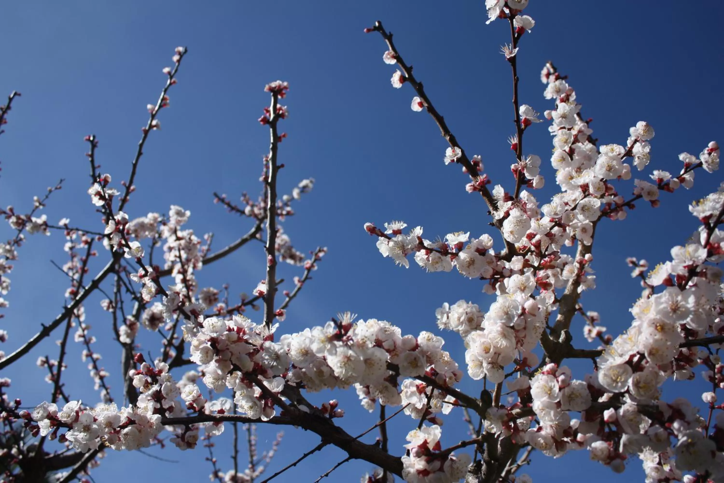 Garden in B&B Casa Di Mari