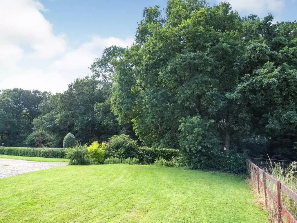 Deluxe King Room in Woodland House B & B Deluxe King Room in Woodland House B & B