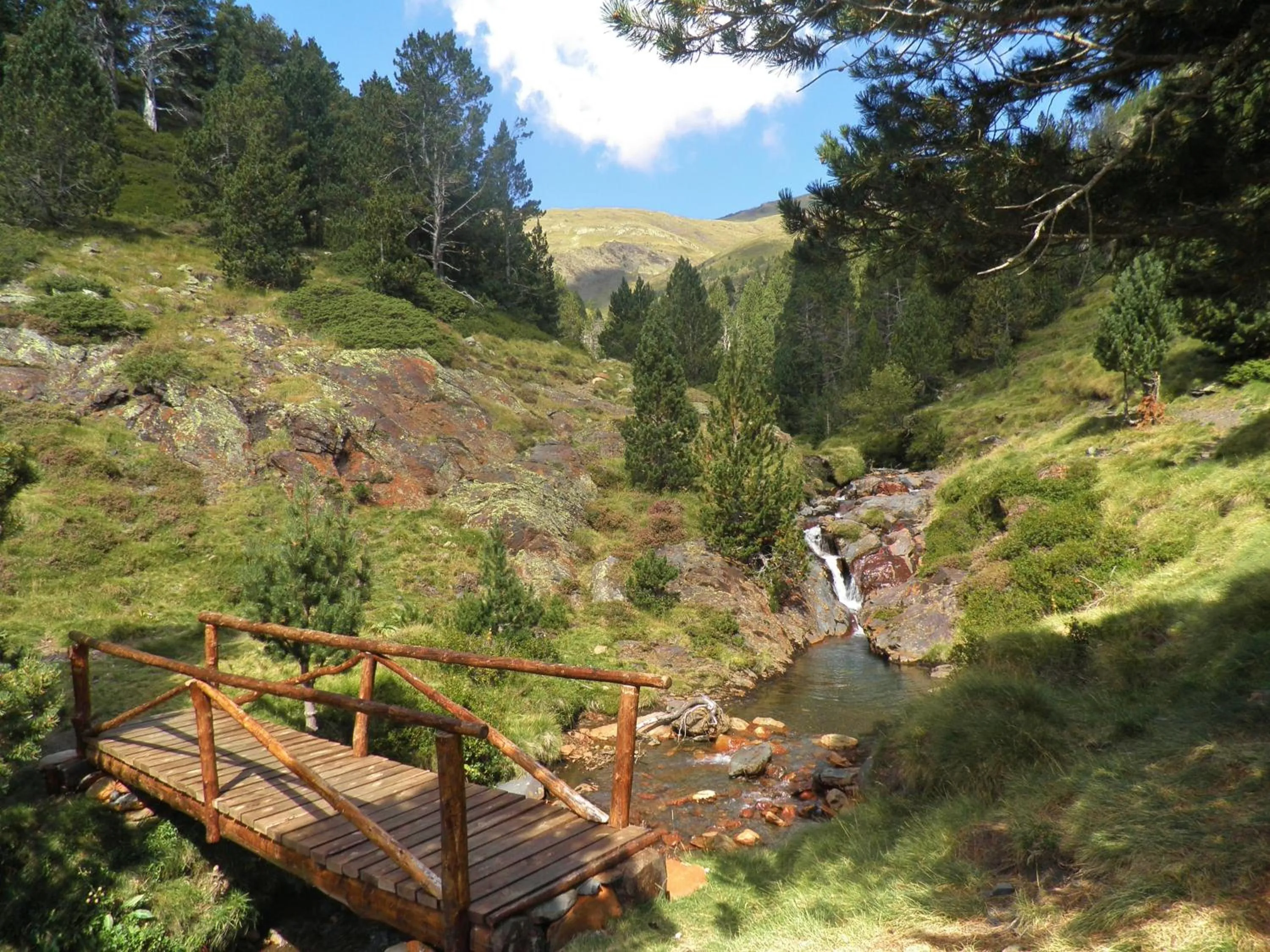 Area and facilities in Hotel Meson de L’Ainsa