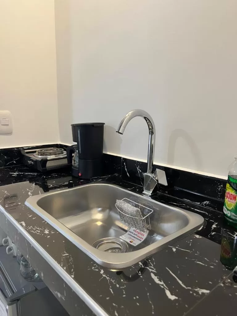 Kitchen or kitchenette, Kitchen/Kitchenette in Hotel boutique bussines center