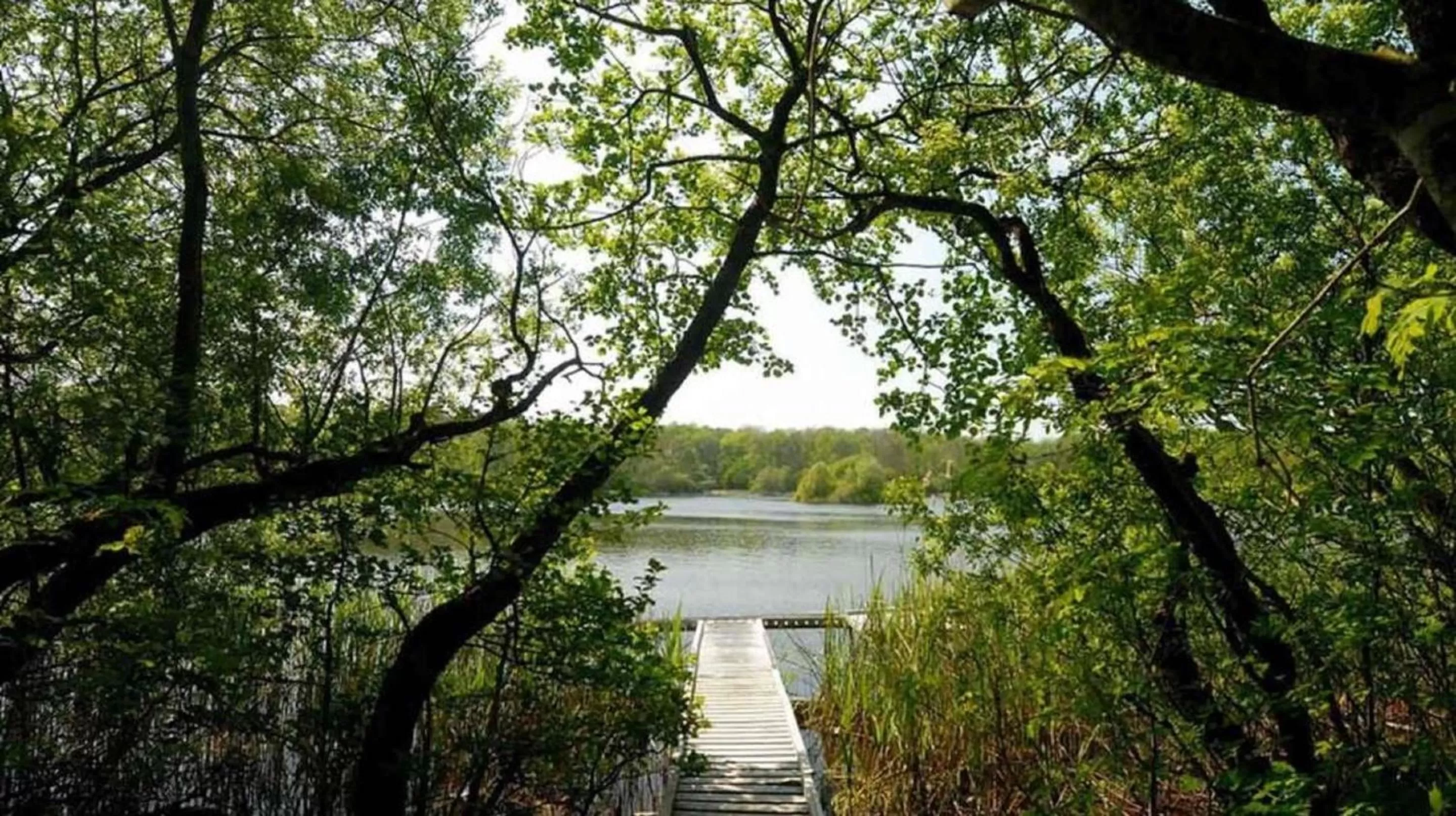 Fishing in The Abbeyleix Manor Hotel