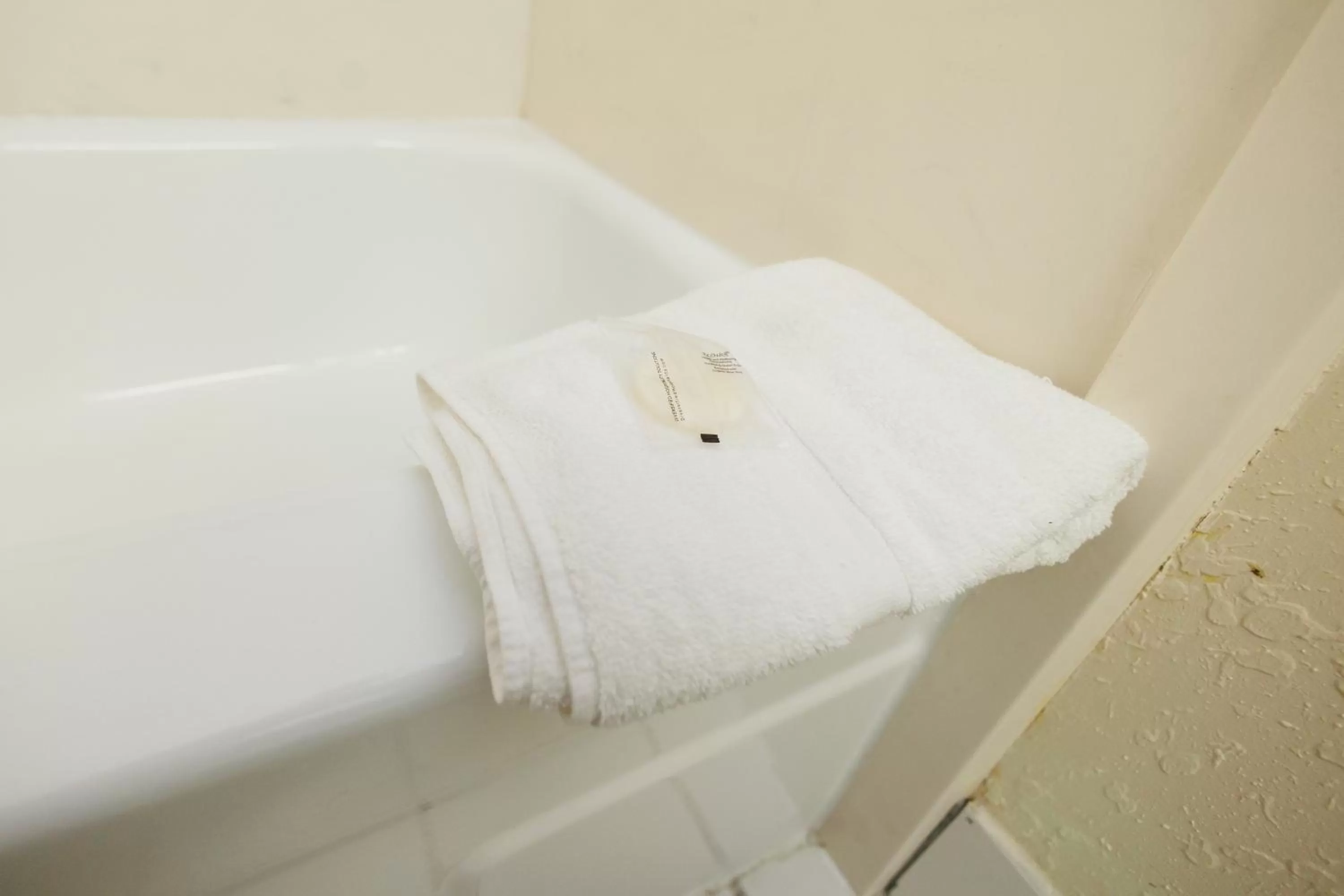 Bathroom in Garnet Inn & Suites, Orlando