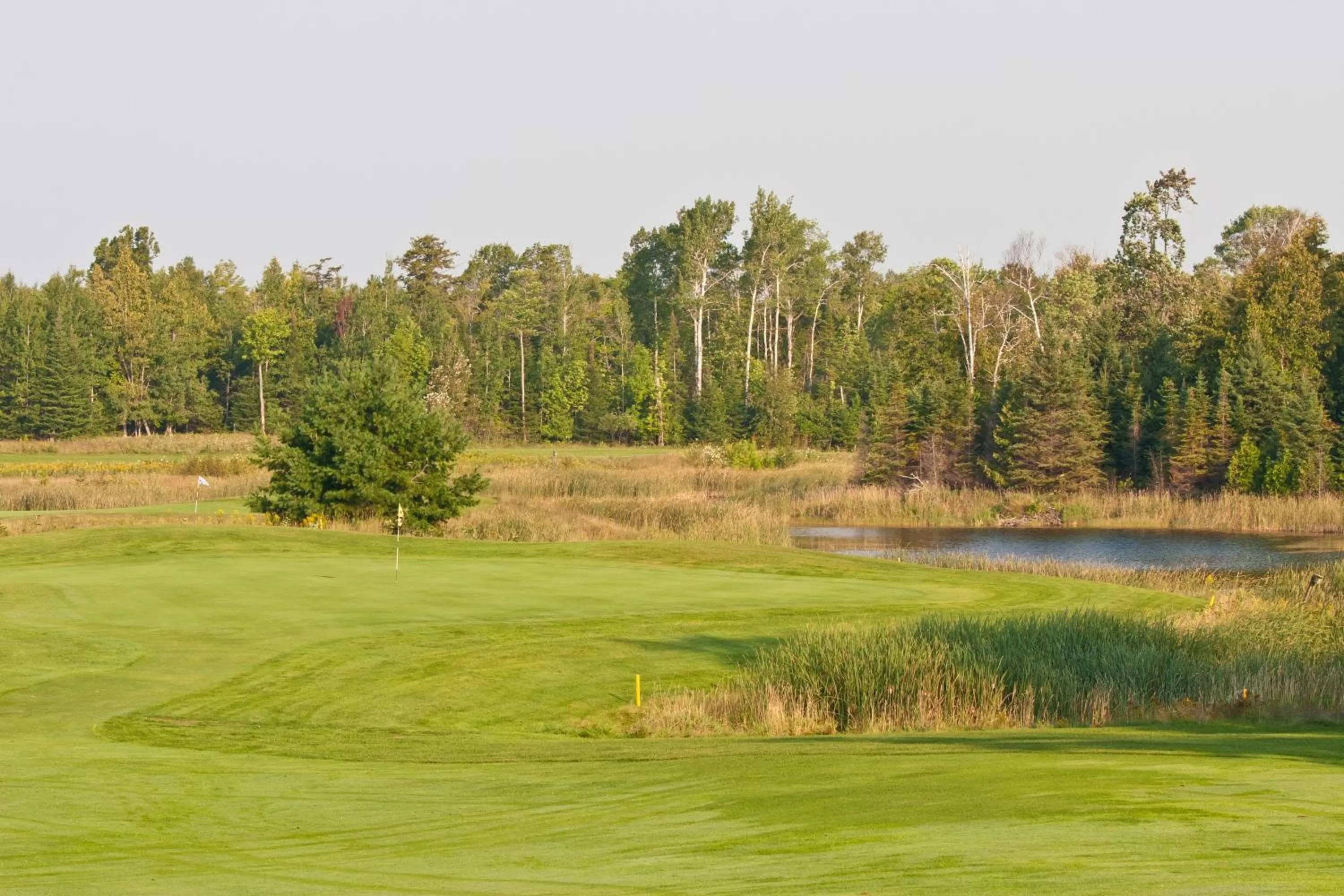Golfcourse in Drummond Island Resort