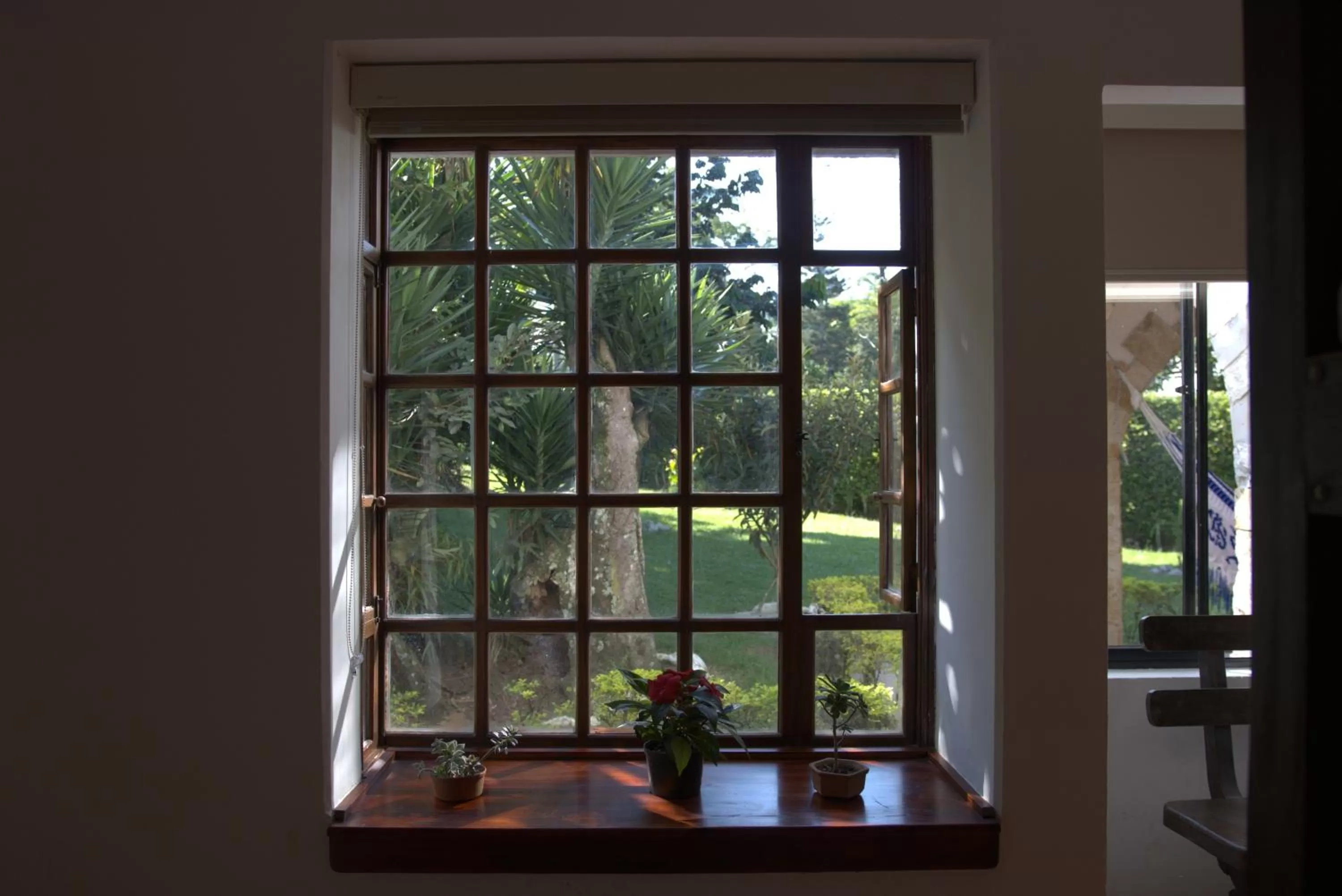 Garden view in Hotel Chalet El Castillo by Majuva