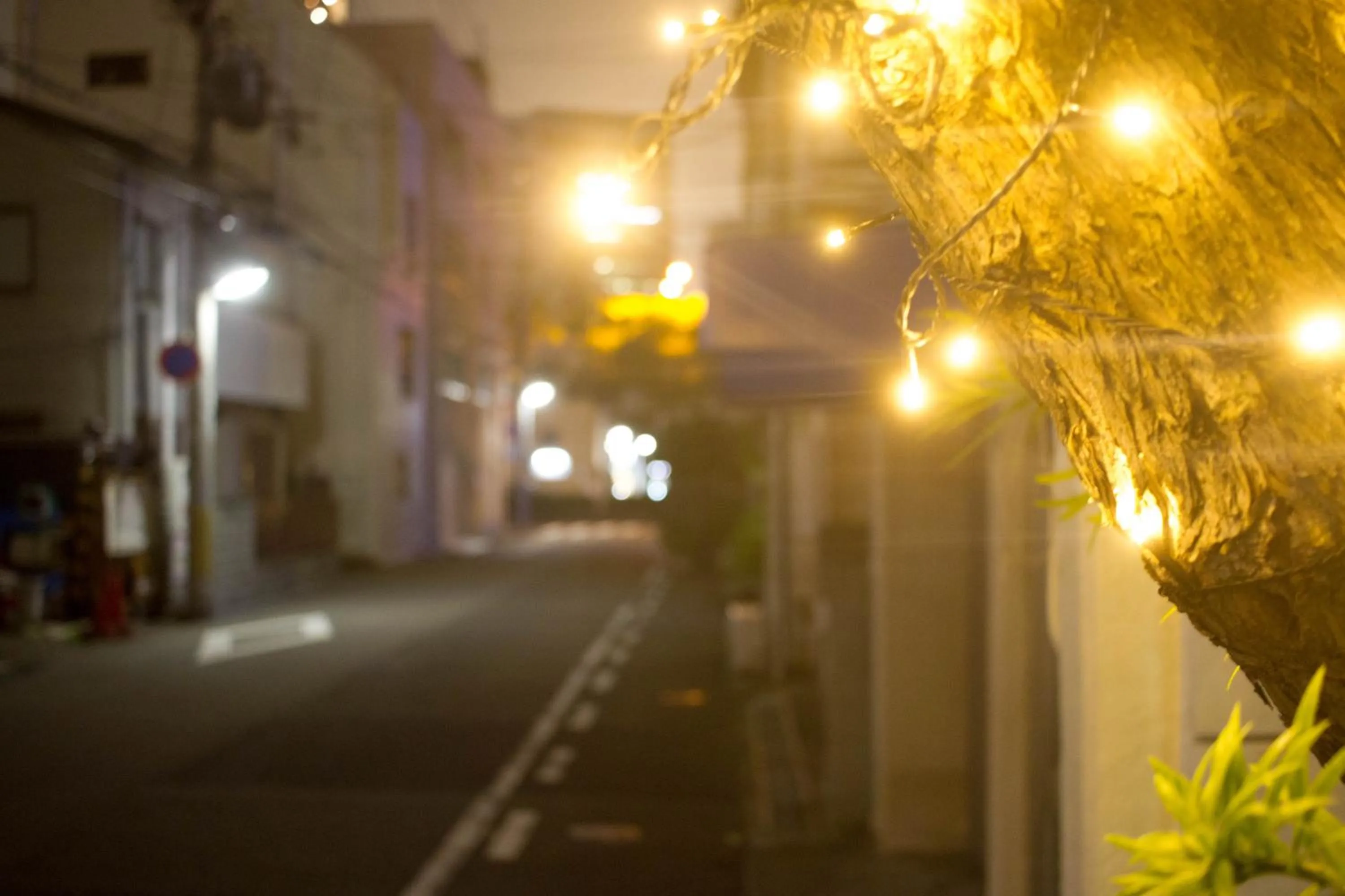 Hostel Nakamura Kobe