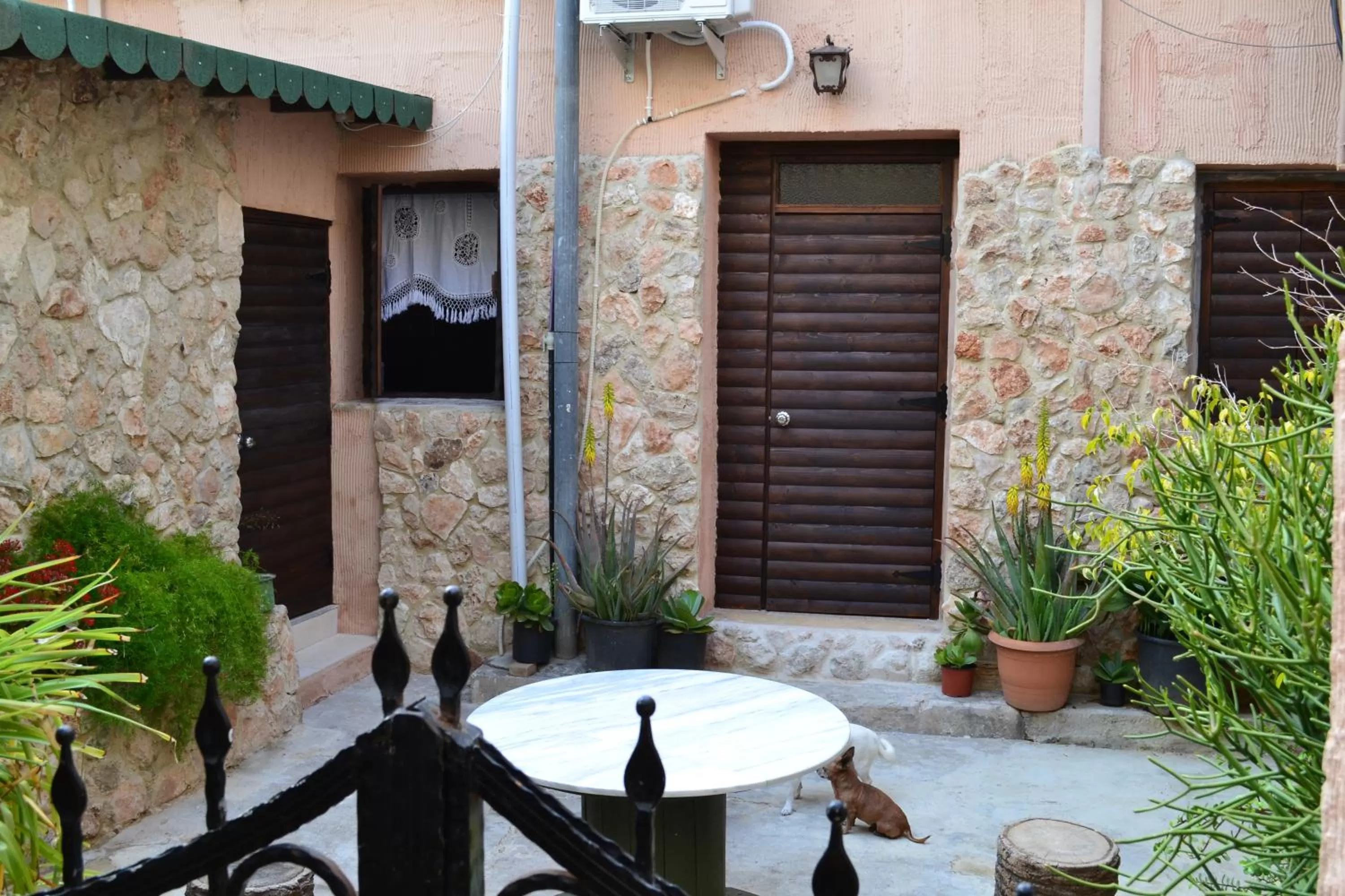 Patio in Mystery Garden Guest House