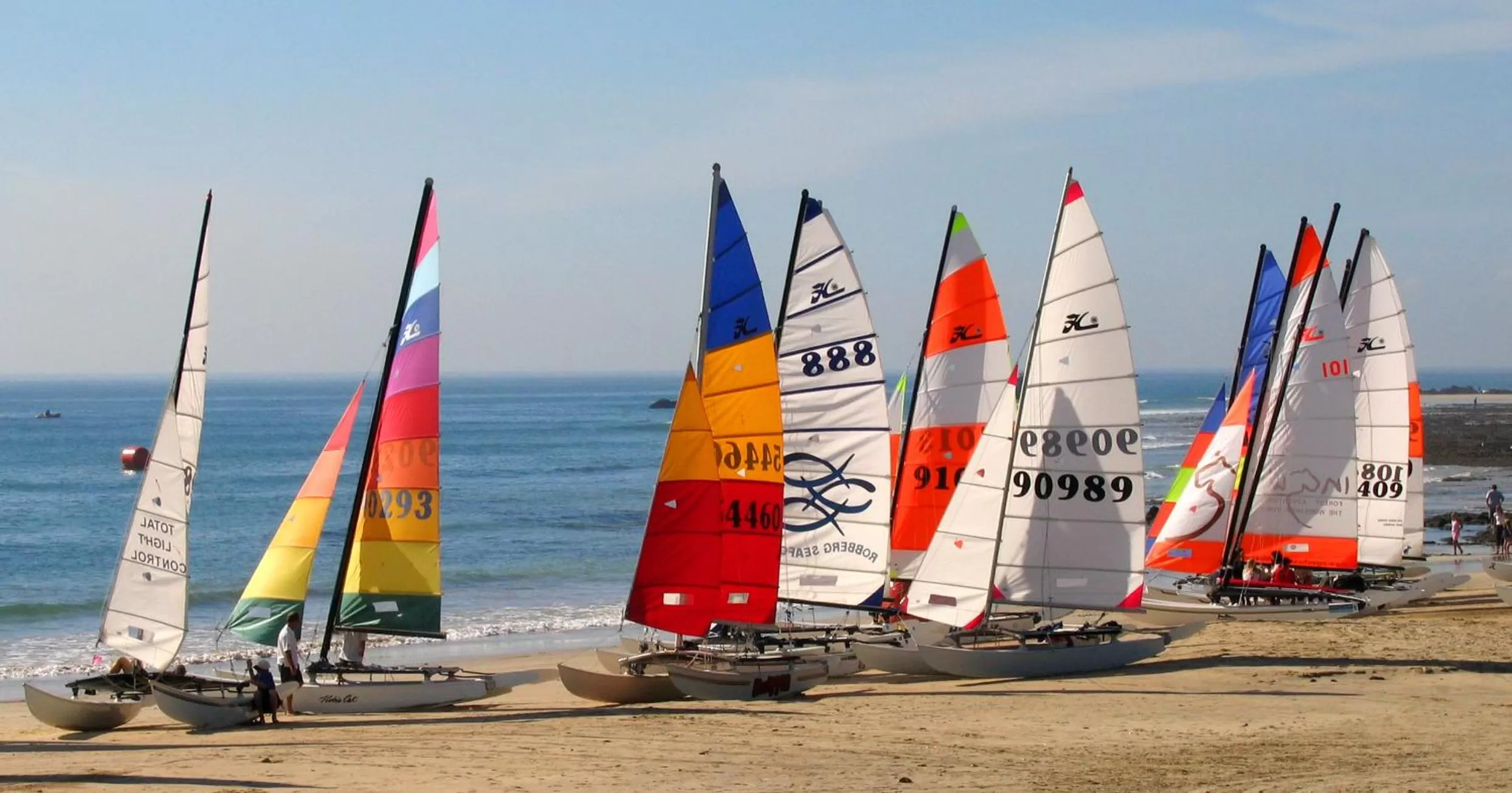 Beach in Carslogie House