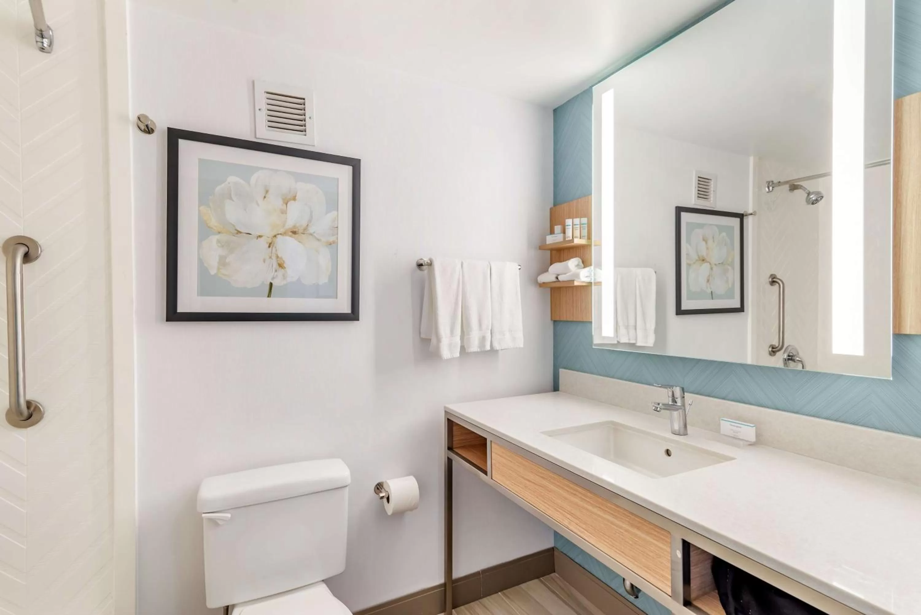 Bathroom in Hilton Garden Inn Atlanta Northeast/Gwinnett Sugarloaf