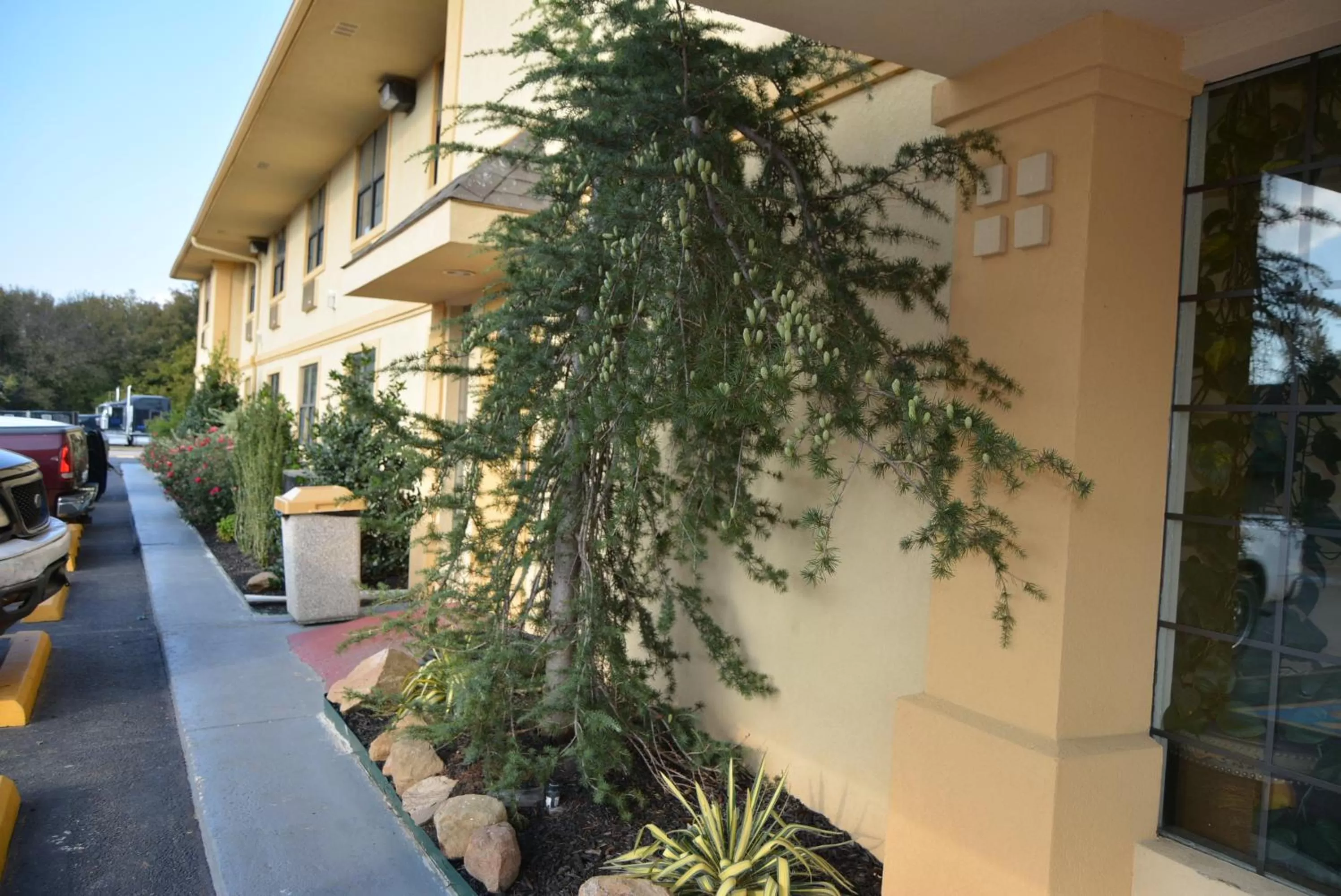 Facade/entrance in Super 8 by Wyndham Sulphur