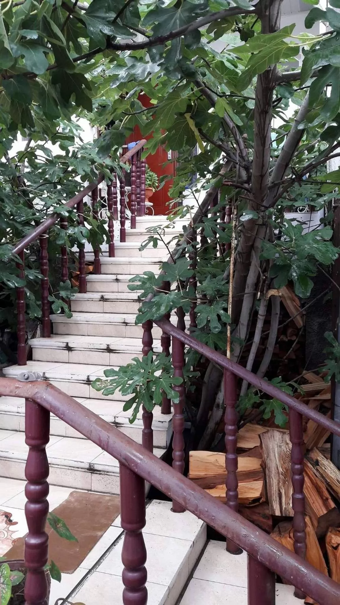 Property building in Nika's Guest House