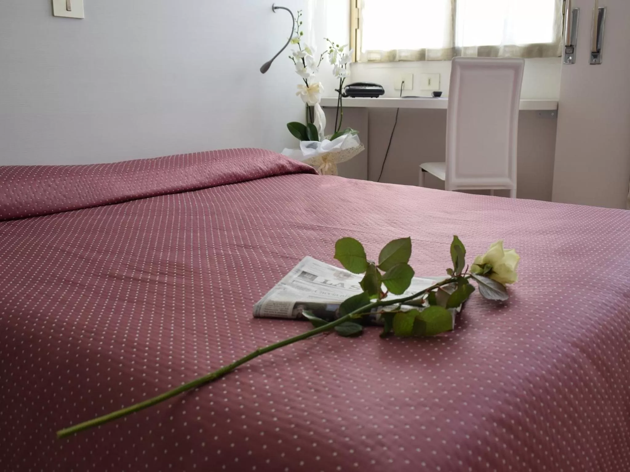 Double or Twin Room with Sea View in Hotel Bellavista