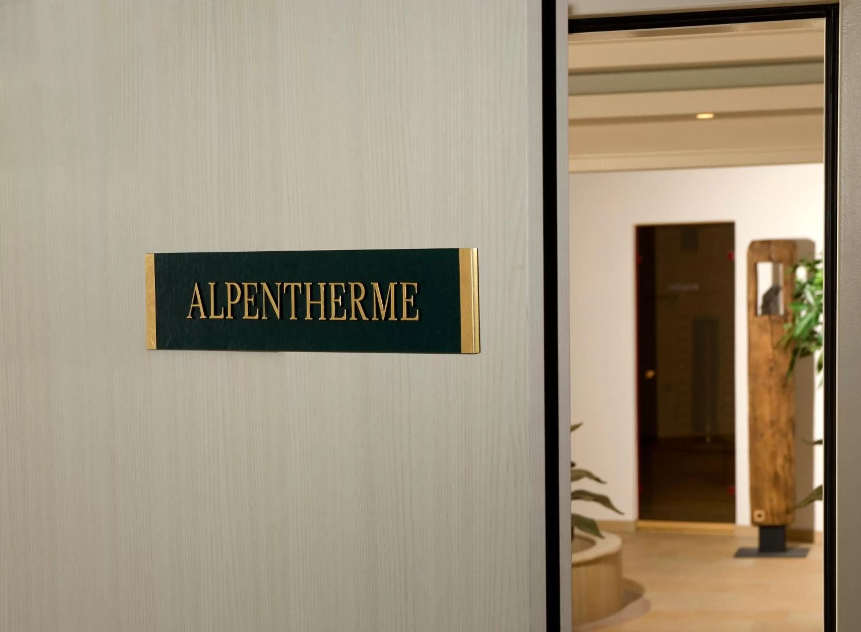 Spa and wellness centre/facilities in Hotel Alpen Residence