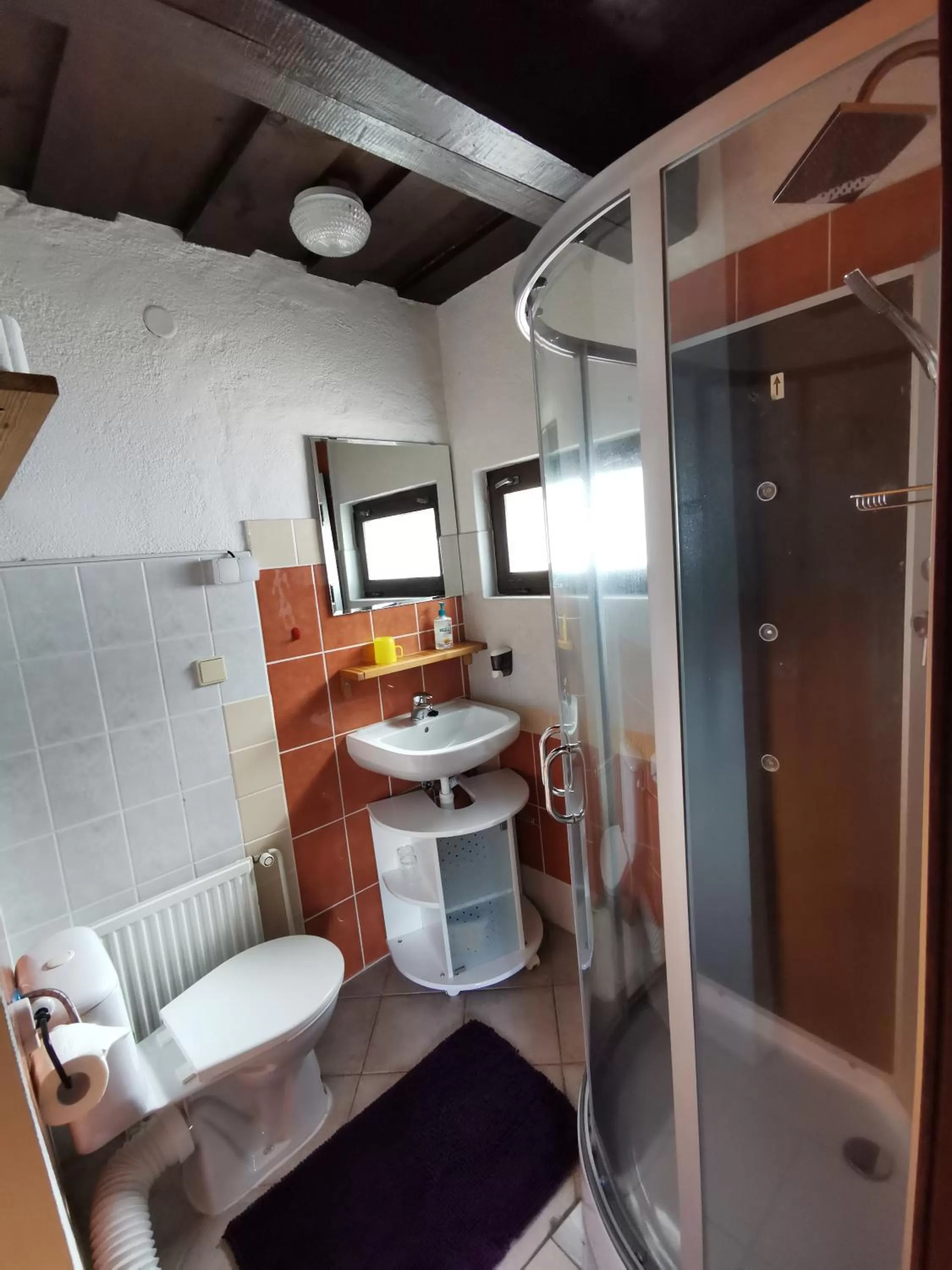 Other, Bathroom in Pension U Jelinka