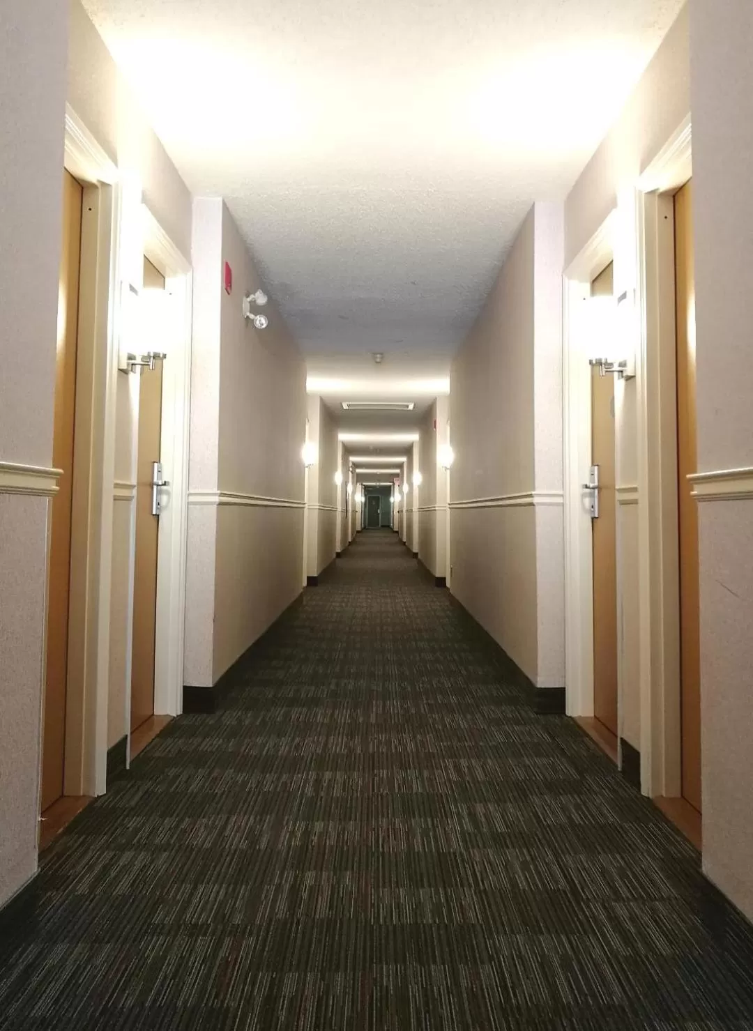 Area and facilities in Econo Lodge Airport Quebec