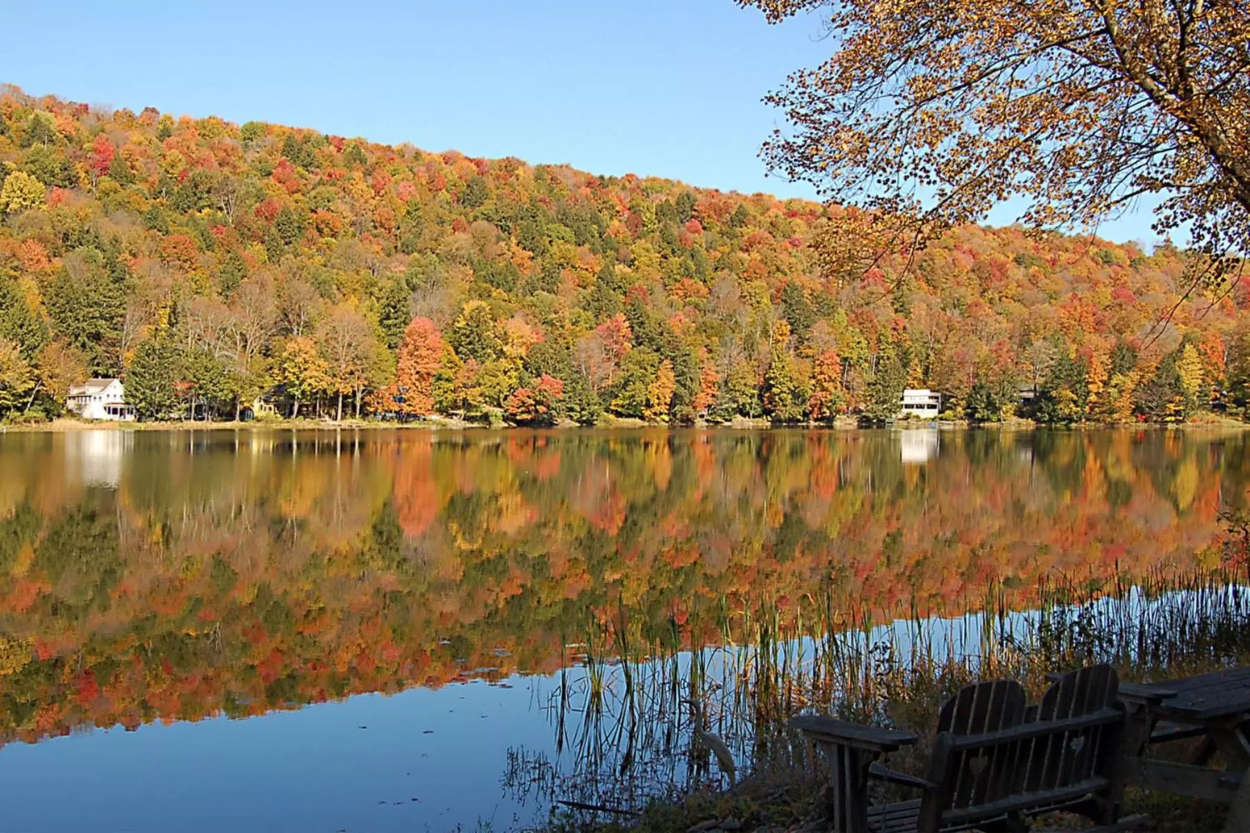 Natural landscape in Inn at Starlight Lake & Restaurant