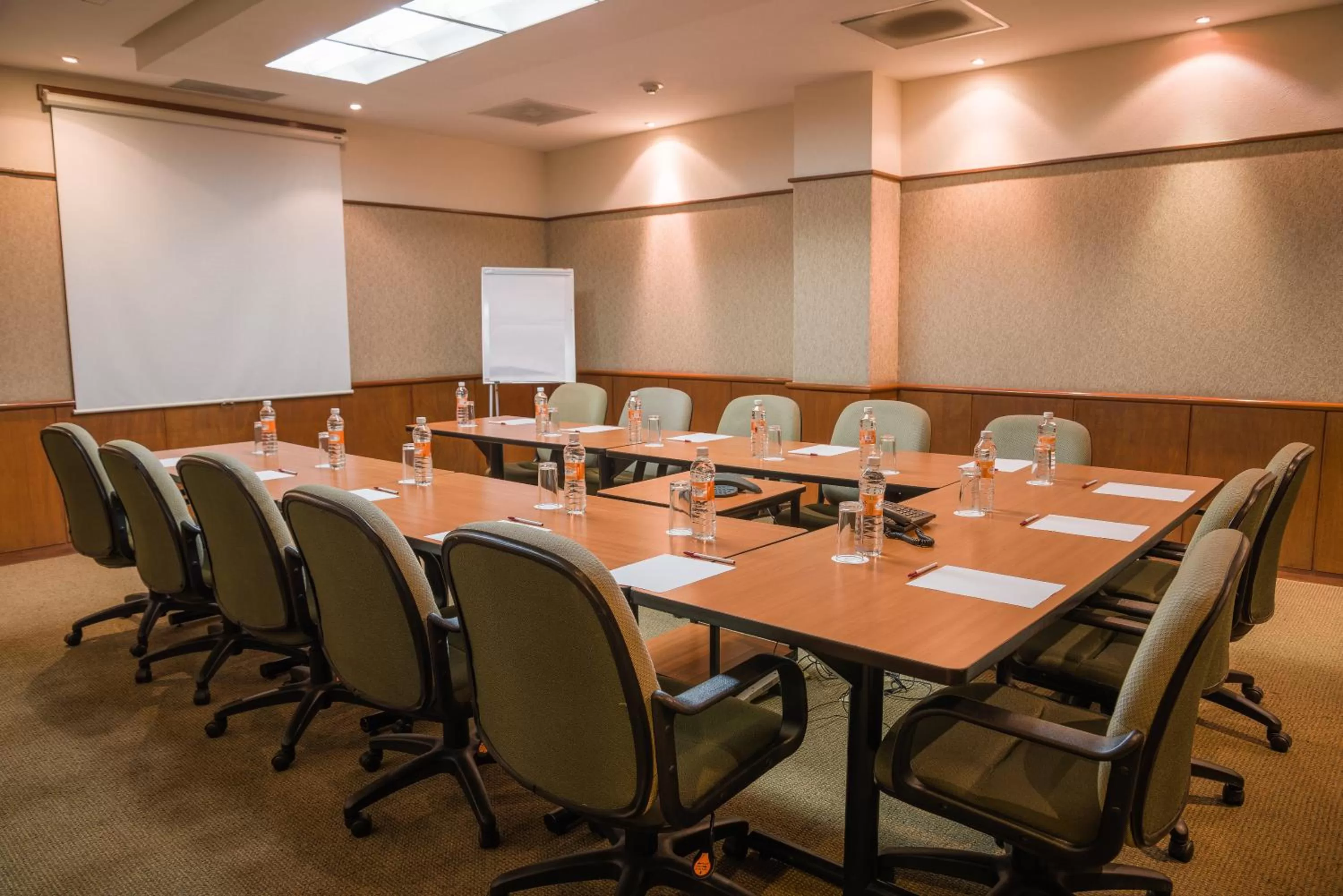 Meeting/conference room in Holiday Inn Guadalajara Expo Plaza del Sol by IHG