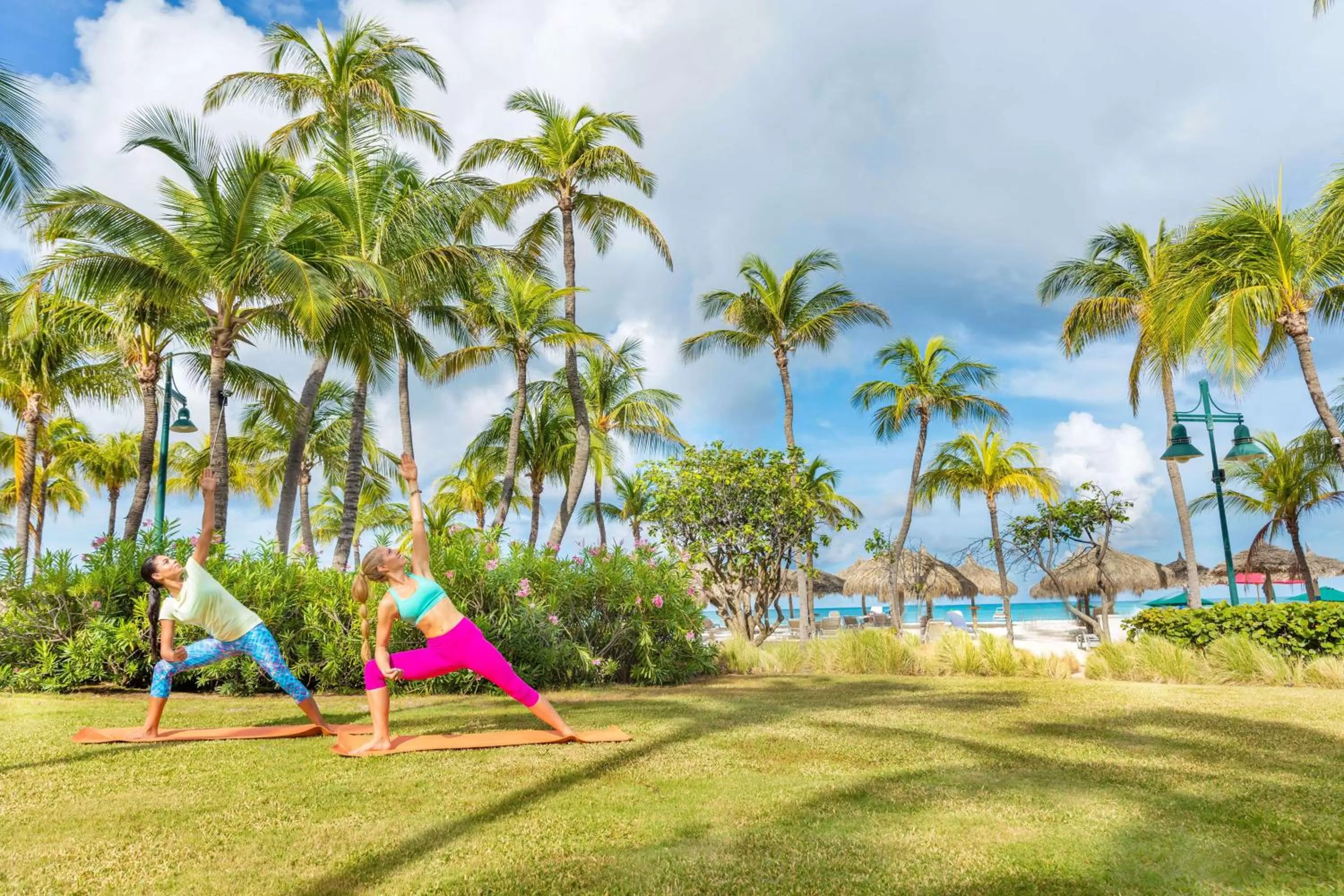 Garden in Hilton Aruba Caribbean Resort & Casino