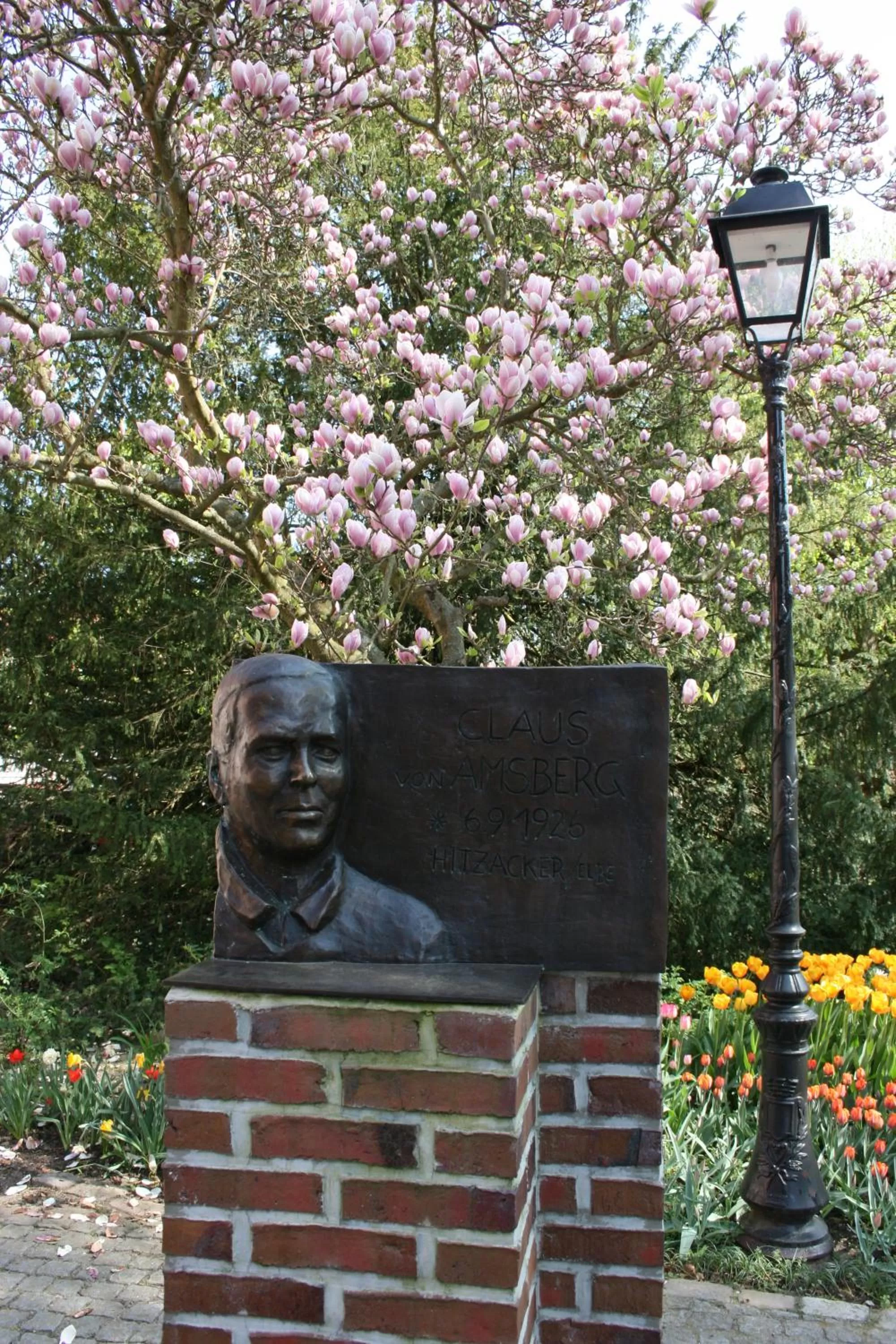 Area and facilities in Parkhotel Hitzacker