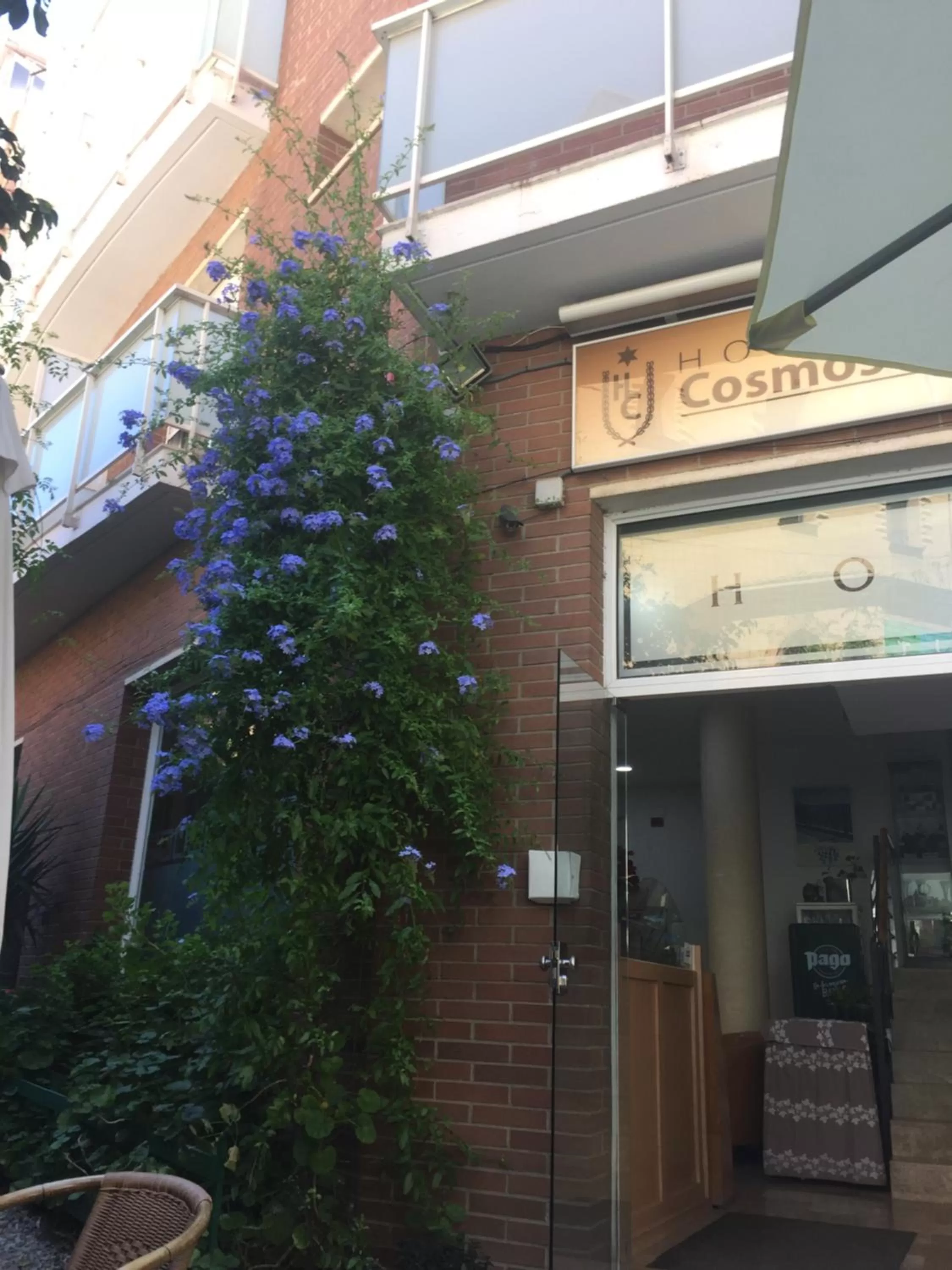 Spring in Hotel Cosmos Tarragona
