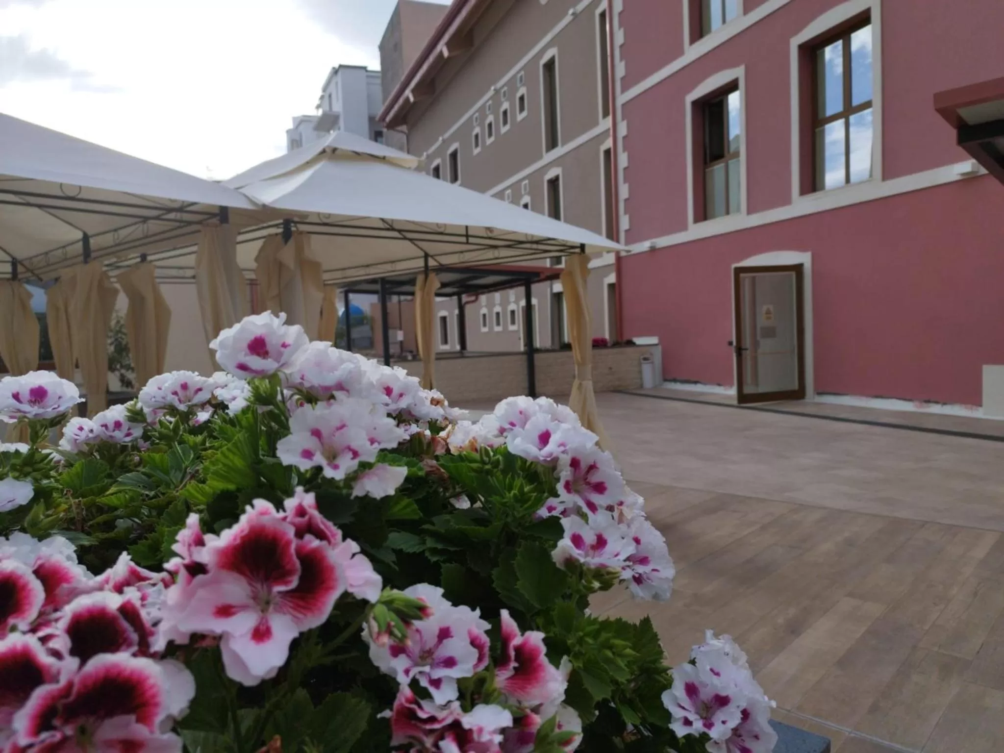 Garden in ROOMS alCentro