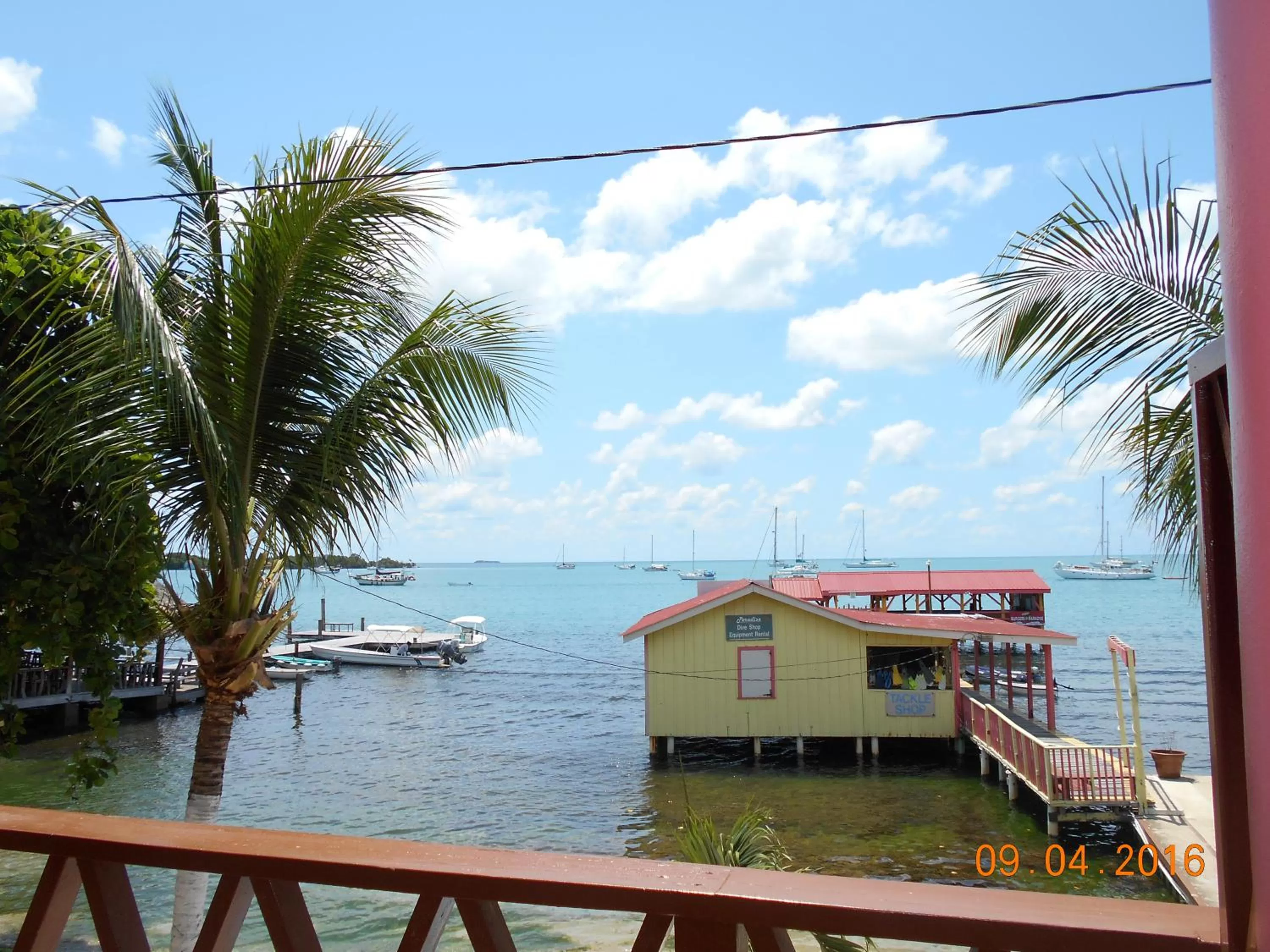 Balcony/Terrace in Alan's Paradise Hotel