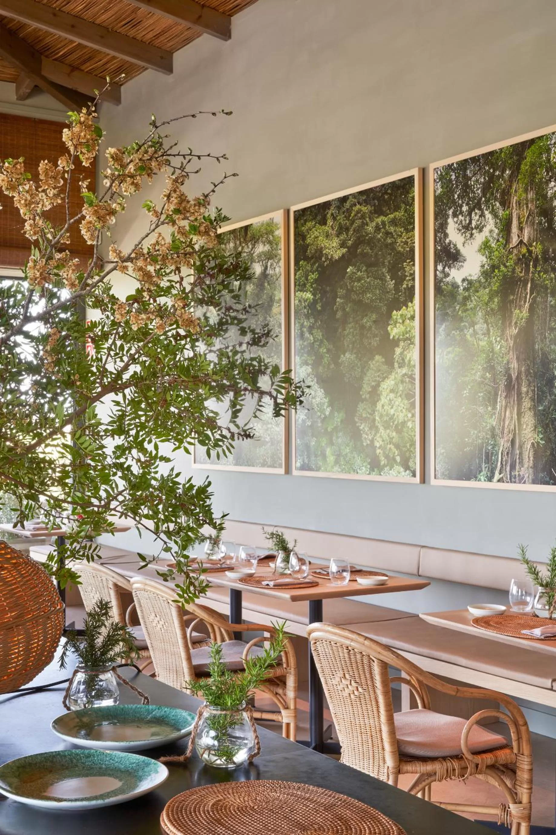 Restaurant/Places to Eat in Hotel Terraverda