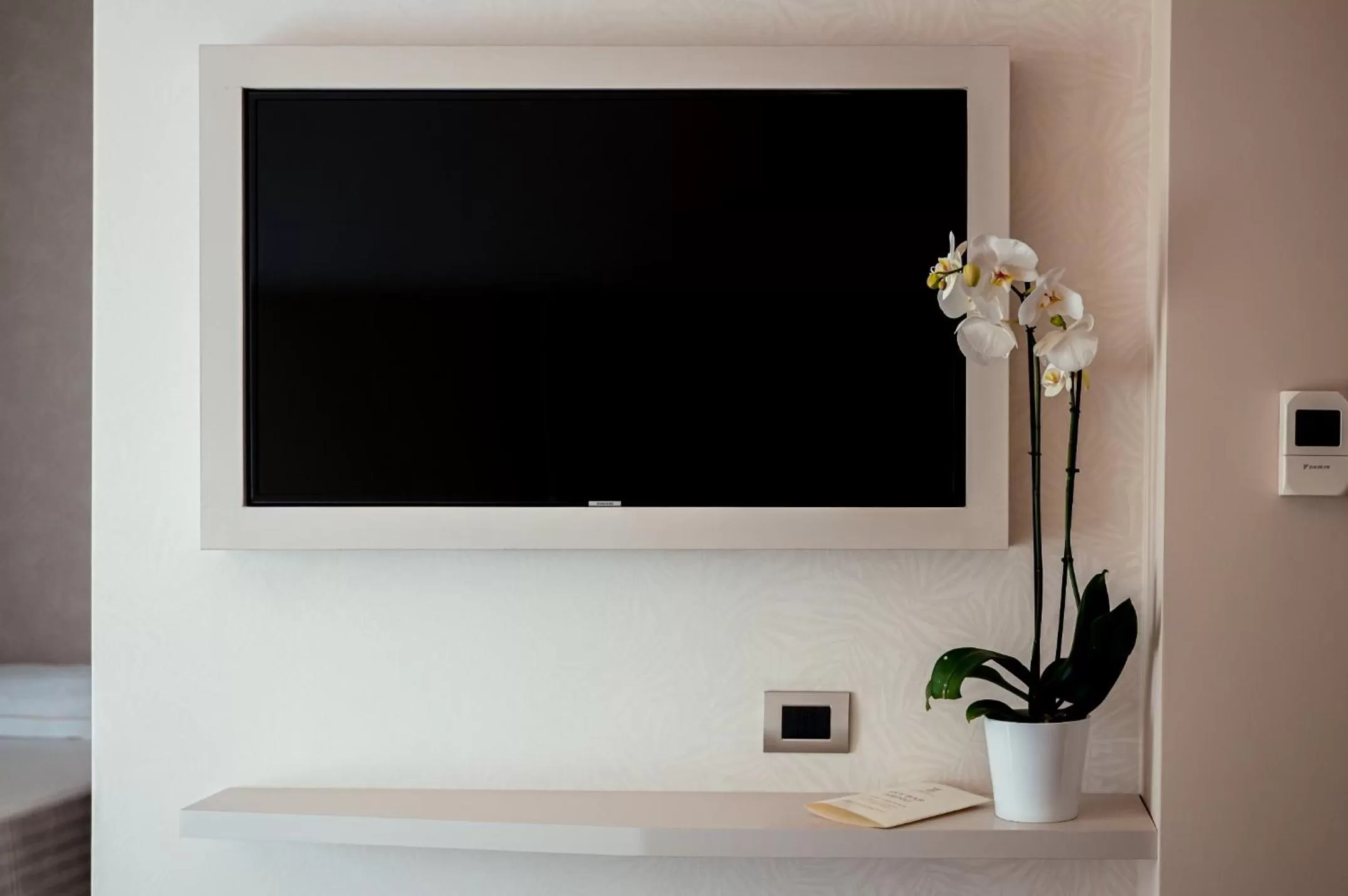 TV and multimedia in Hotel Continental