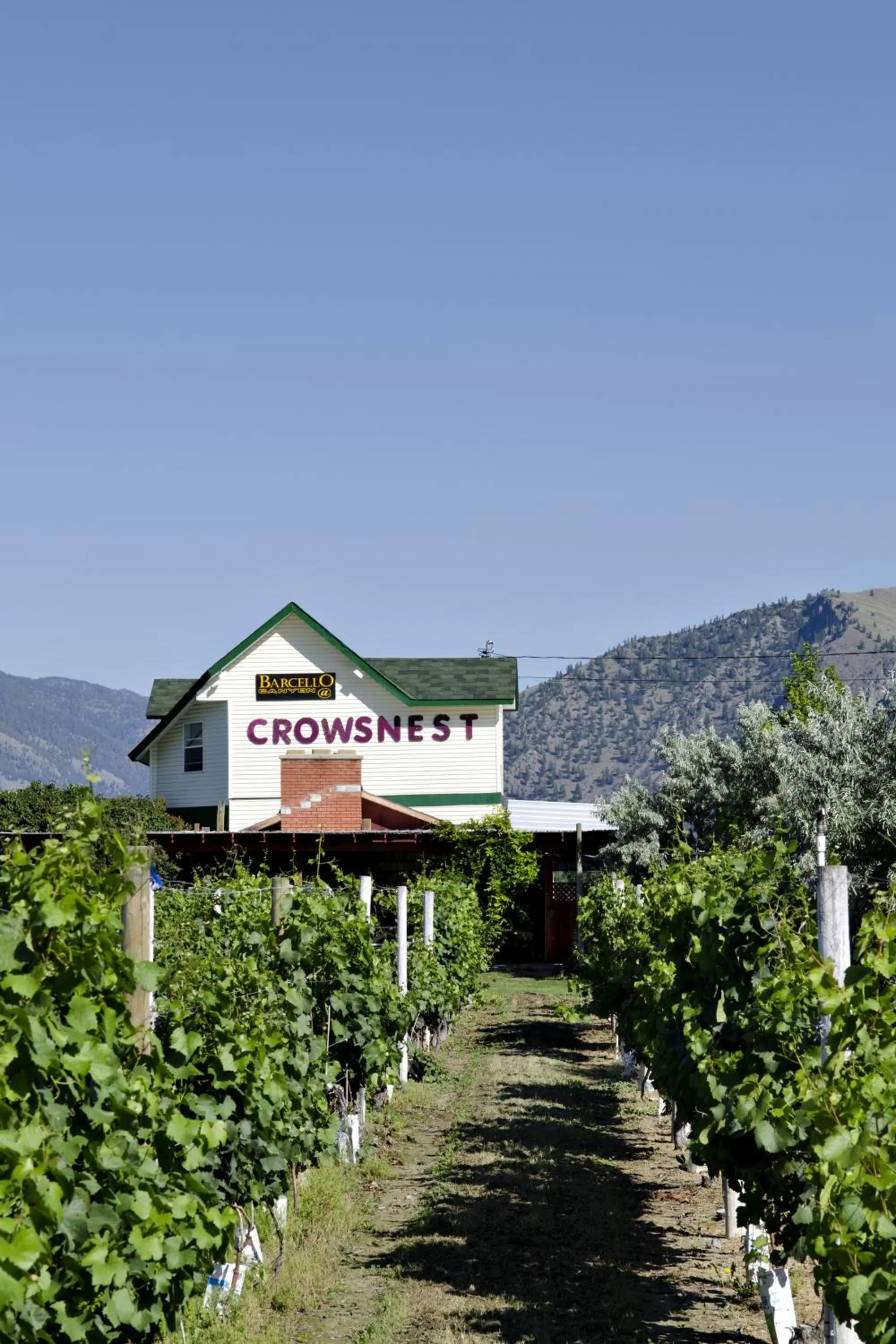 Natural landscape in Crowsnest Vineyards Guesthouse