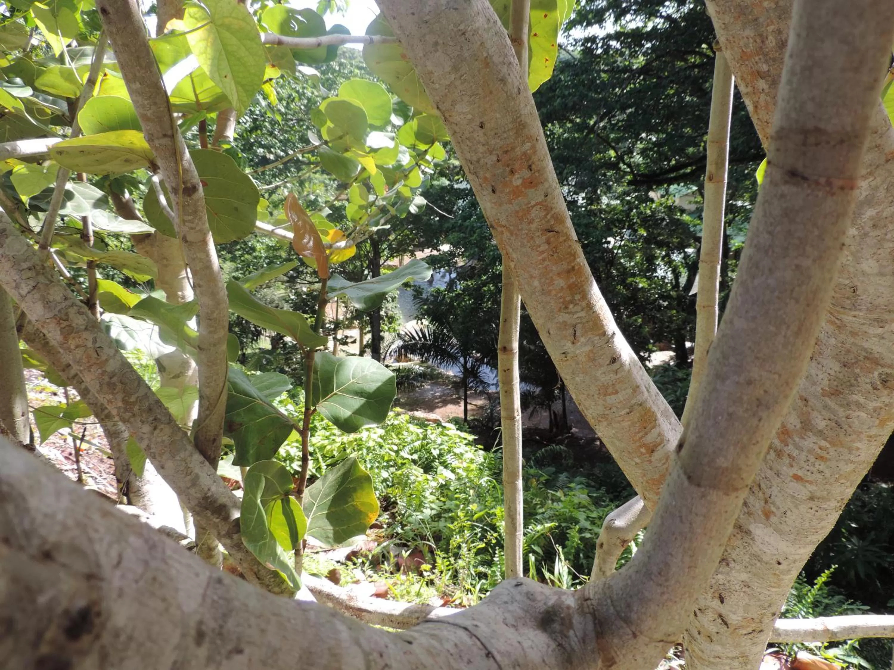 Staff in Altos de Caño Hondo