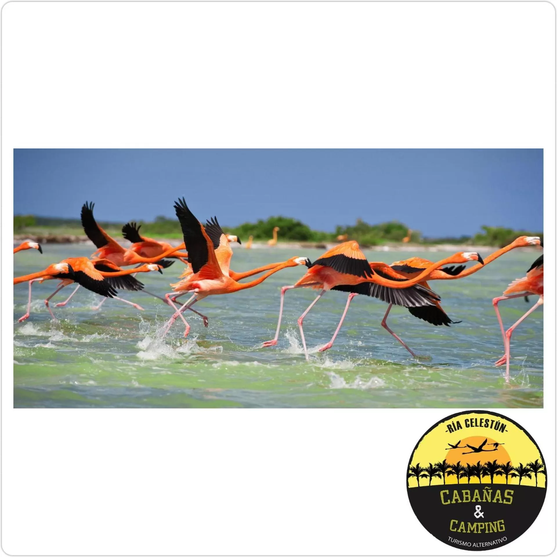 Natural landscape in Cabañas Camping Ria Celestun