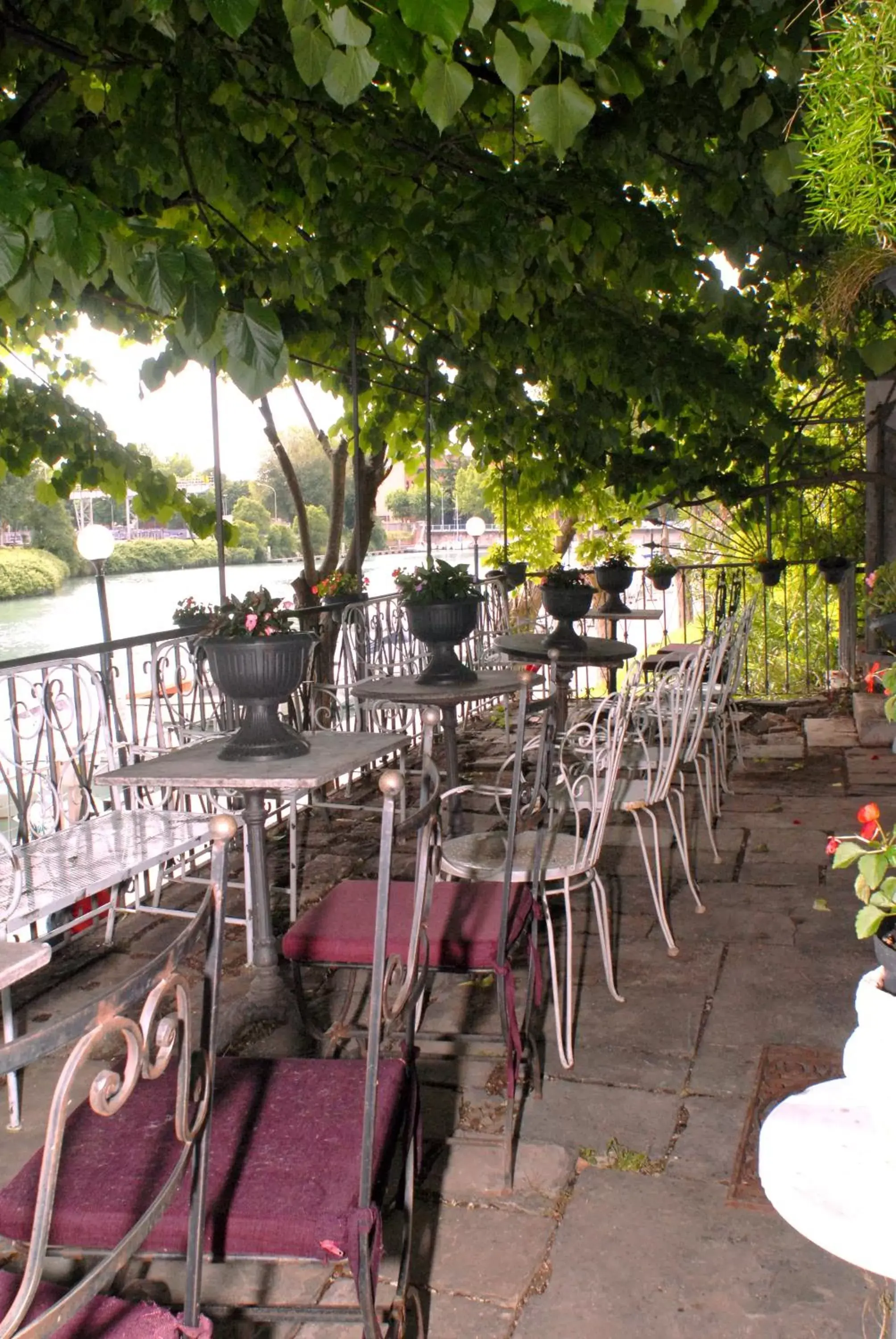 Twin Room with Private Bathroom in Villa Fiorita Twin Room with Private Bathroom in Villa Fiorita