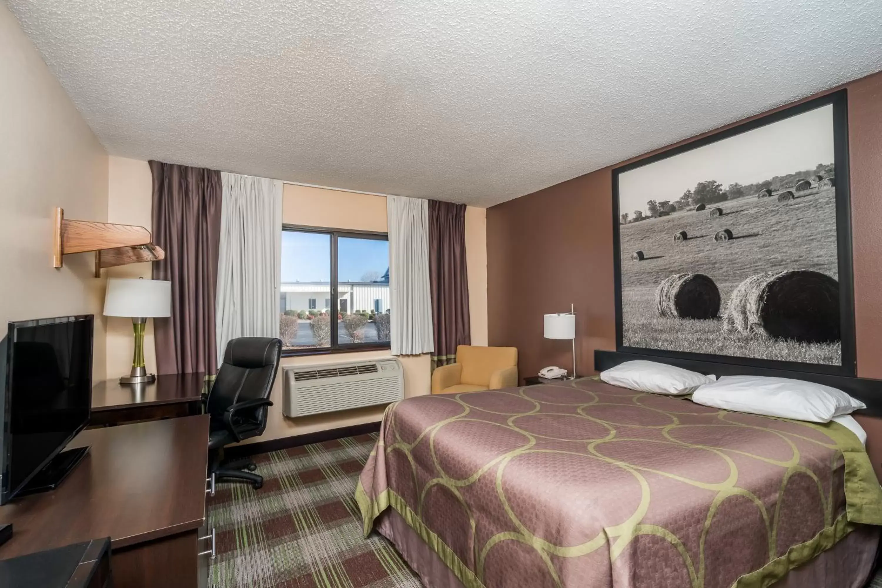 Queen Room - Non-Smoking in Super 8 by Wyndham Campbellsville KY Queen Room - Non-Smoking in Super 8 by Wyndham Campbellsville KY