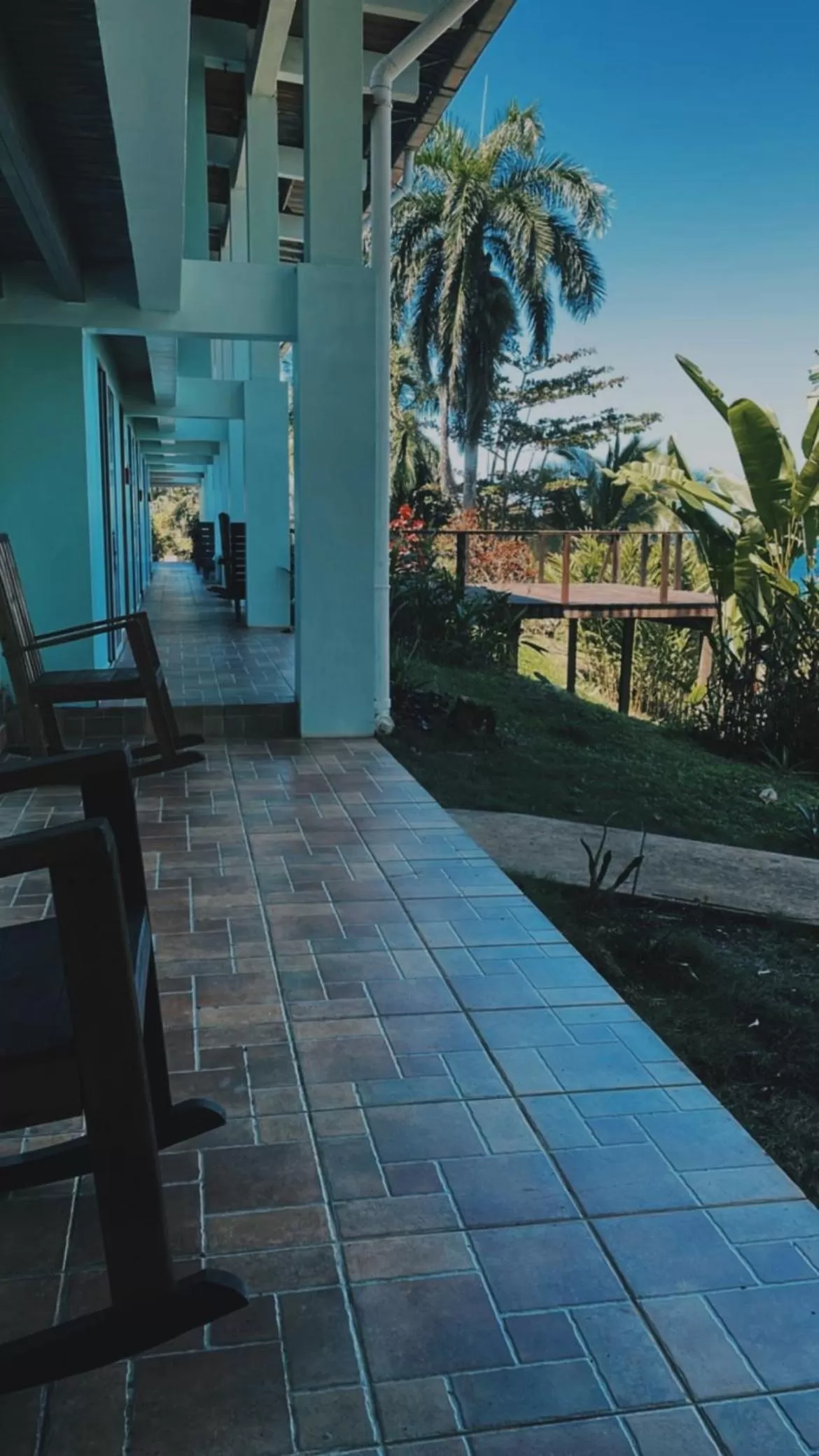 View (from property/room) in Bird Island Bungalows