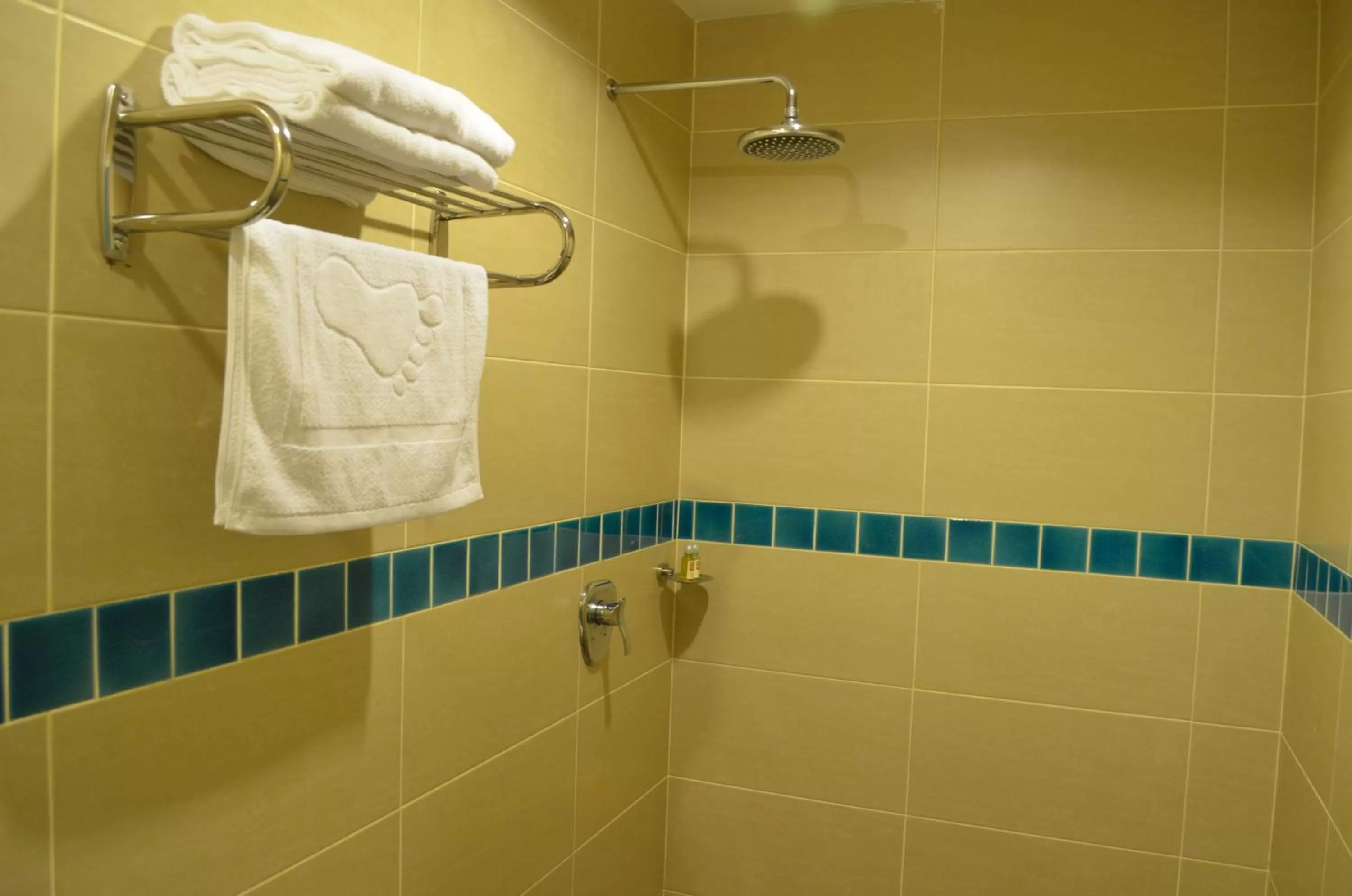 Toilet in Hotel Asia