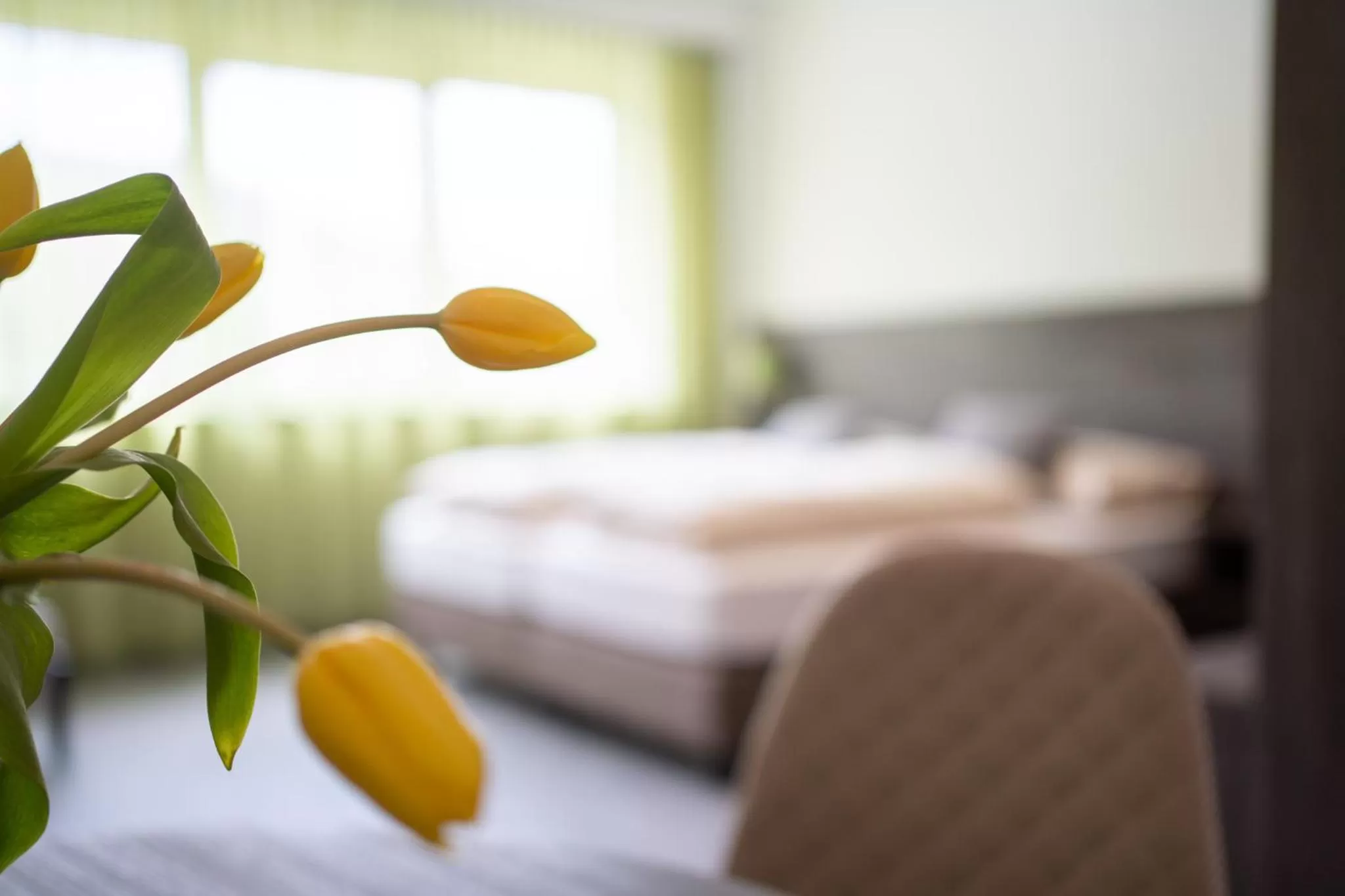 Photo of the whole room, Bed in eee Hotel Liezen