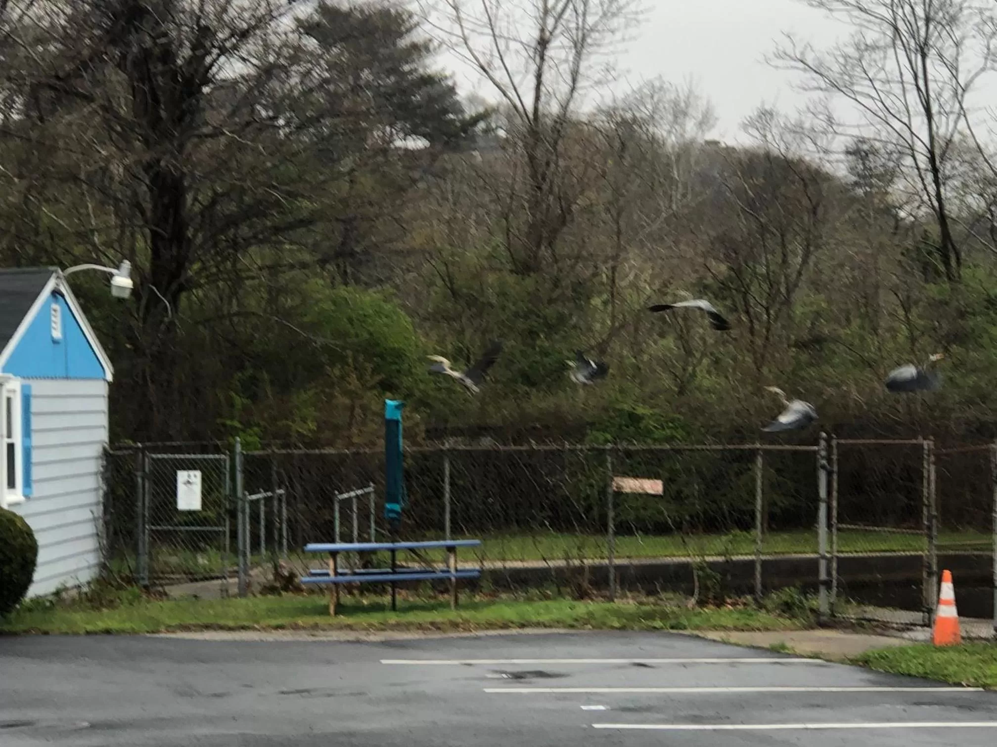 Herring Run Motel and Tiny Cabins