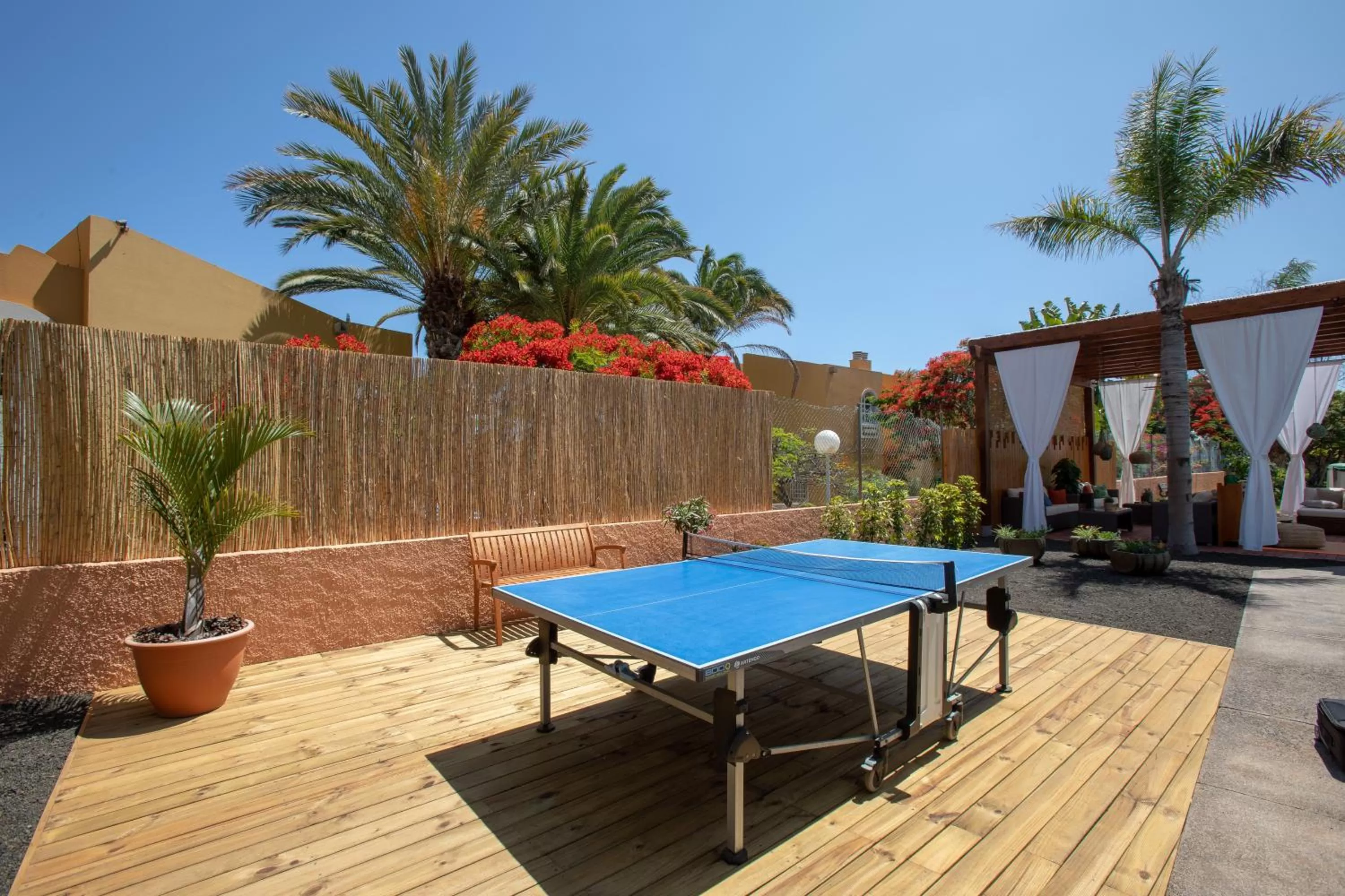 Table tennis in Club Vista Serena