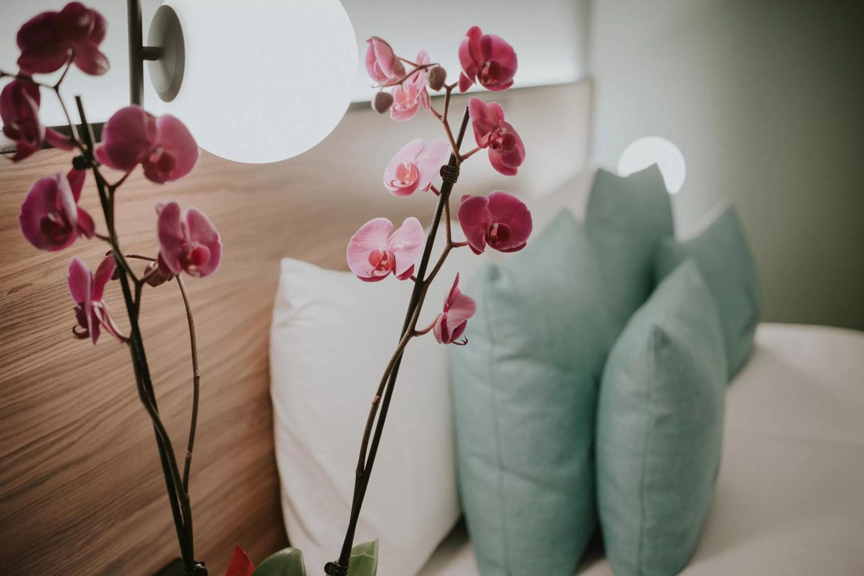 Decorative detail in Catalina Plaza Hotel Sostenible