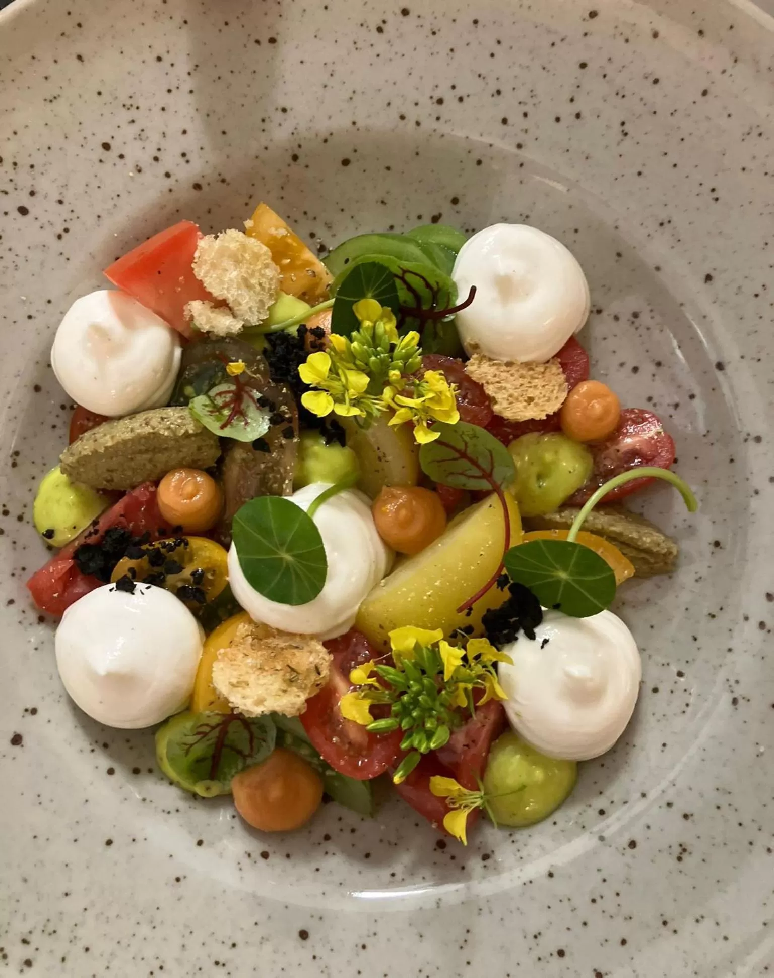 Restaurant/places to eat in B&B Herenhuis