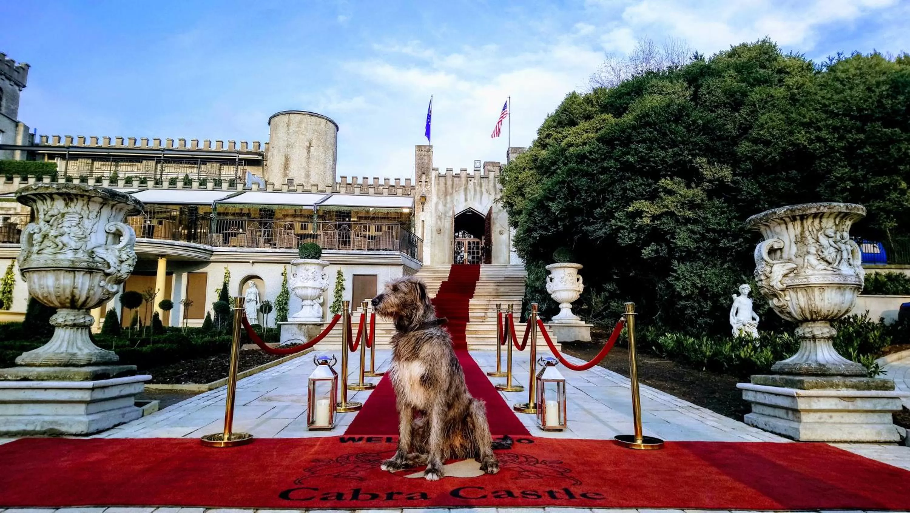 Pets in Cabra Castle Hotel